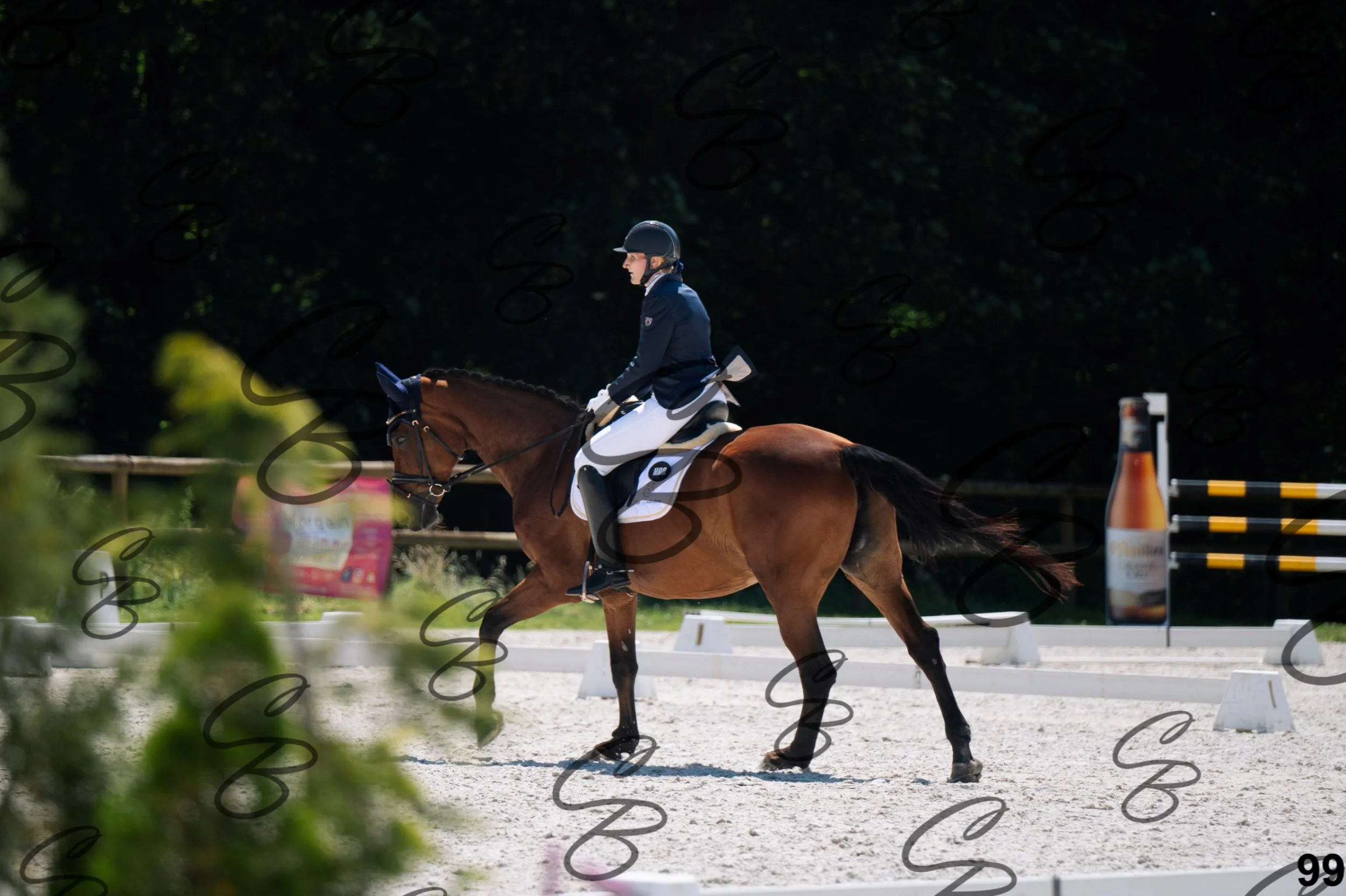 2026.07.12 - Niveau 1 - N1.5-99.jpg