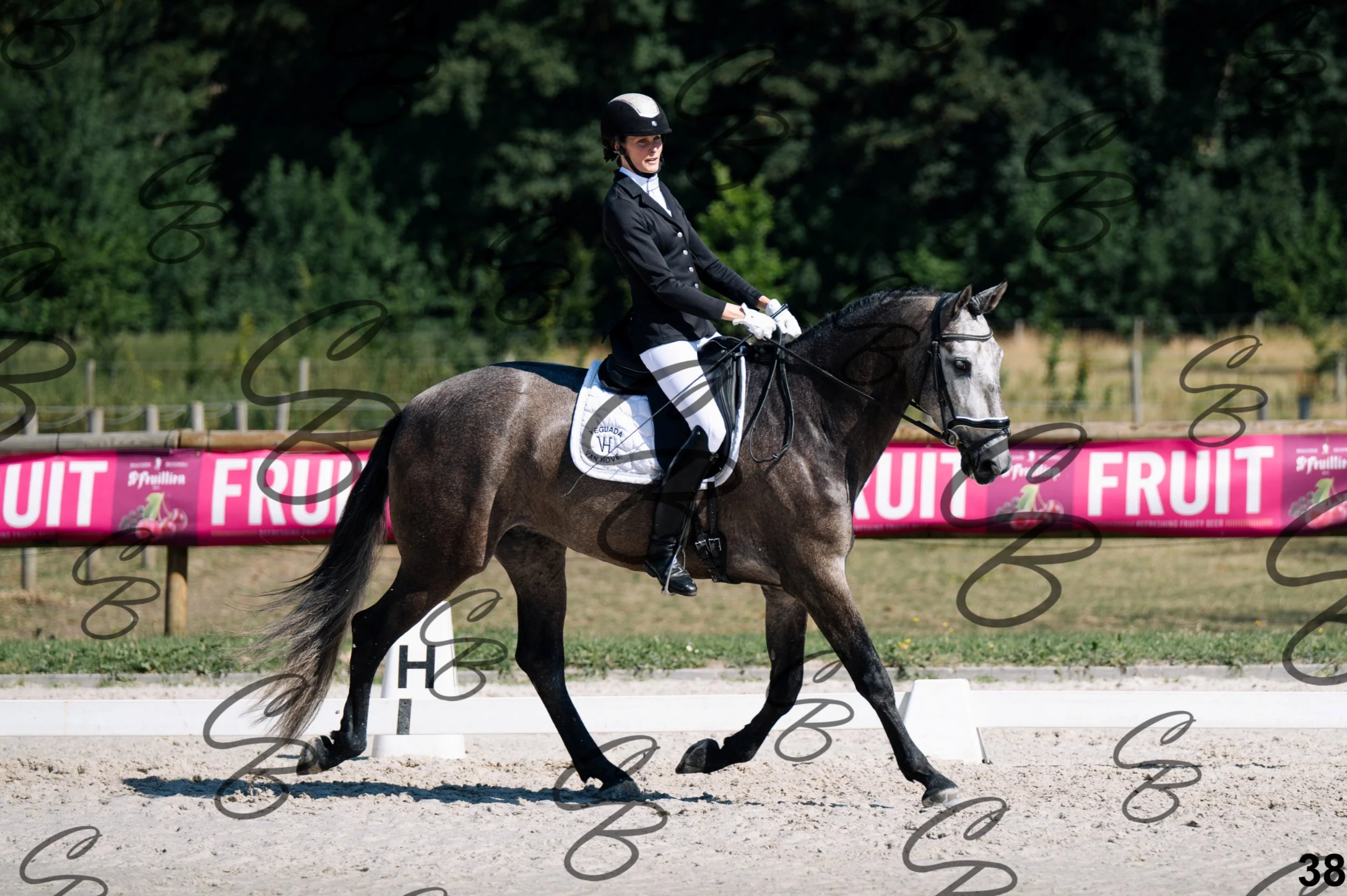 2026.07.11 - 1 Primera - Jonge paarden - Jeunes chevaux -38.jpg