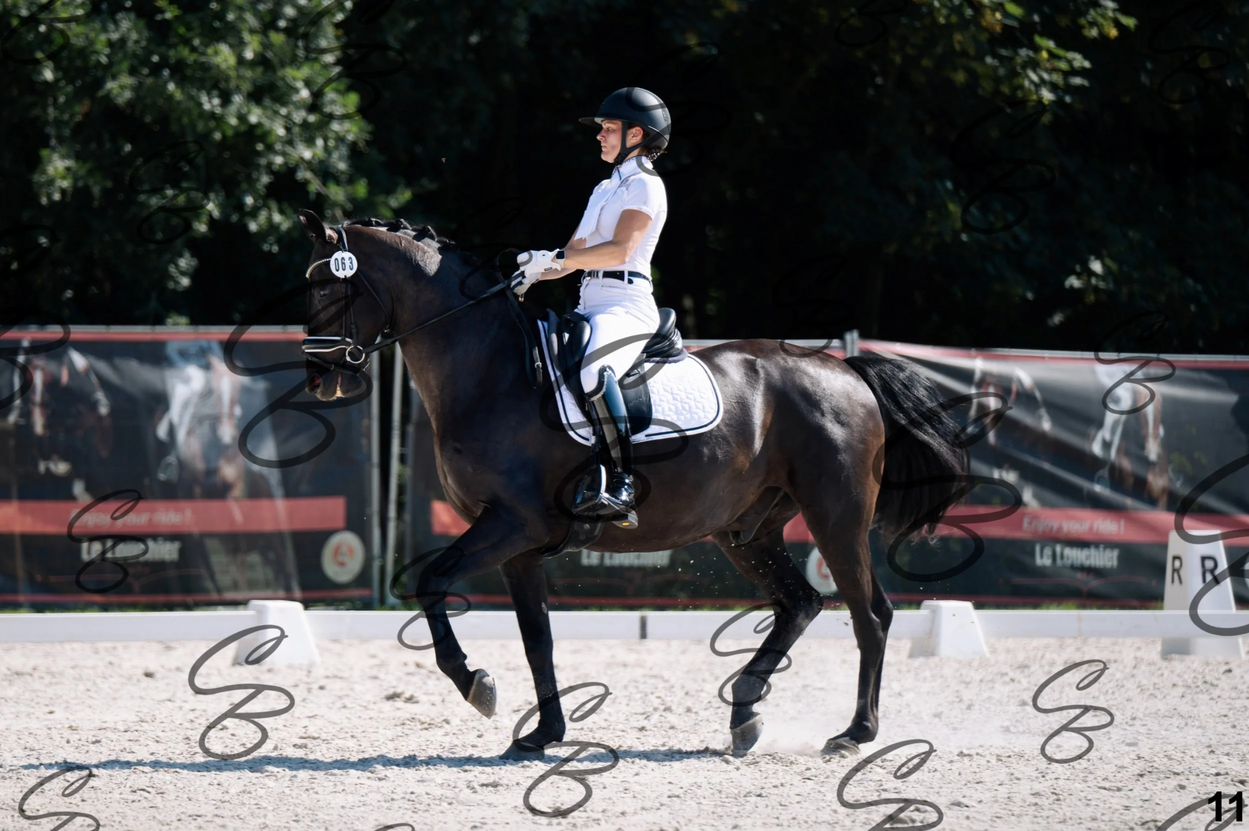 2026.07.12 - Jeunes chevaux - FEI 5YH Preliminary Test-11.jpg