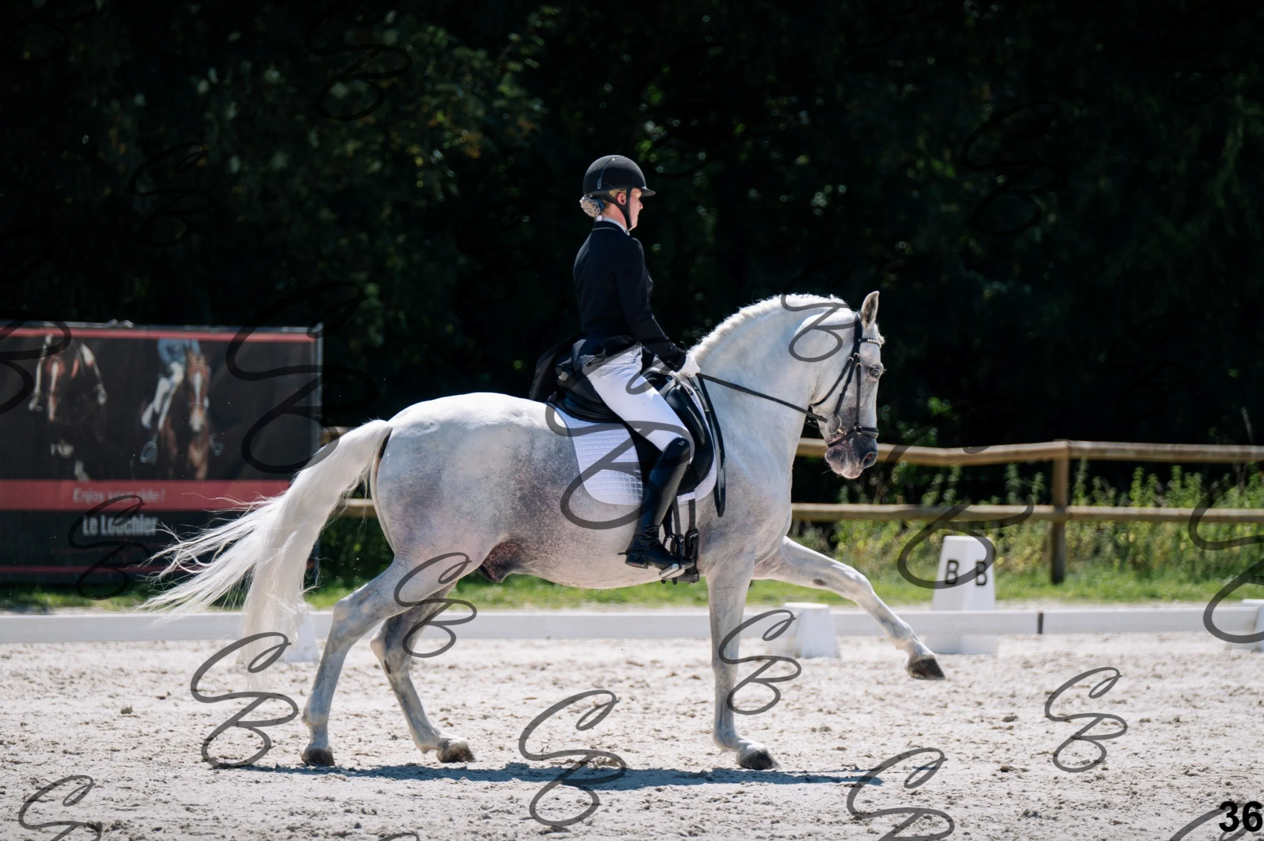 2026.07.11 - 13 Reyale - Niveau 6 - REYALE-37.jpg