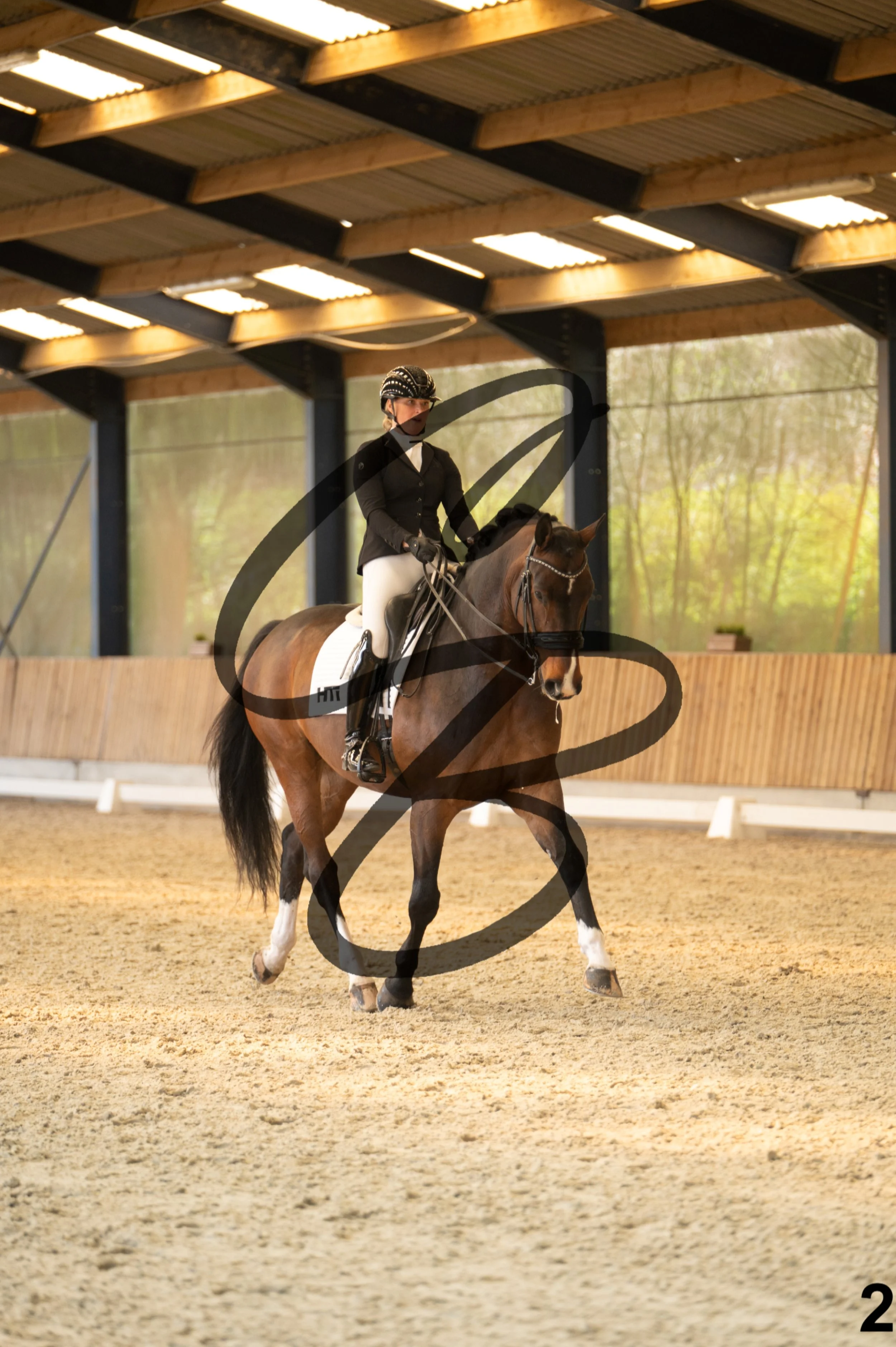 2026.03.22 - Grade 5 - grand prix test A-2.jpg