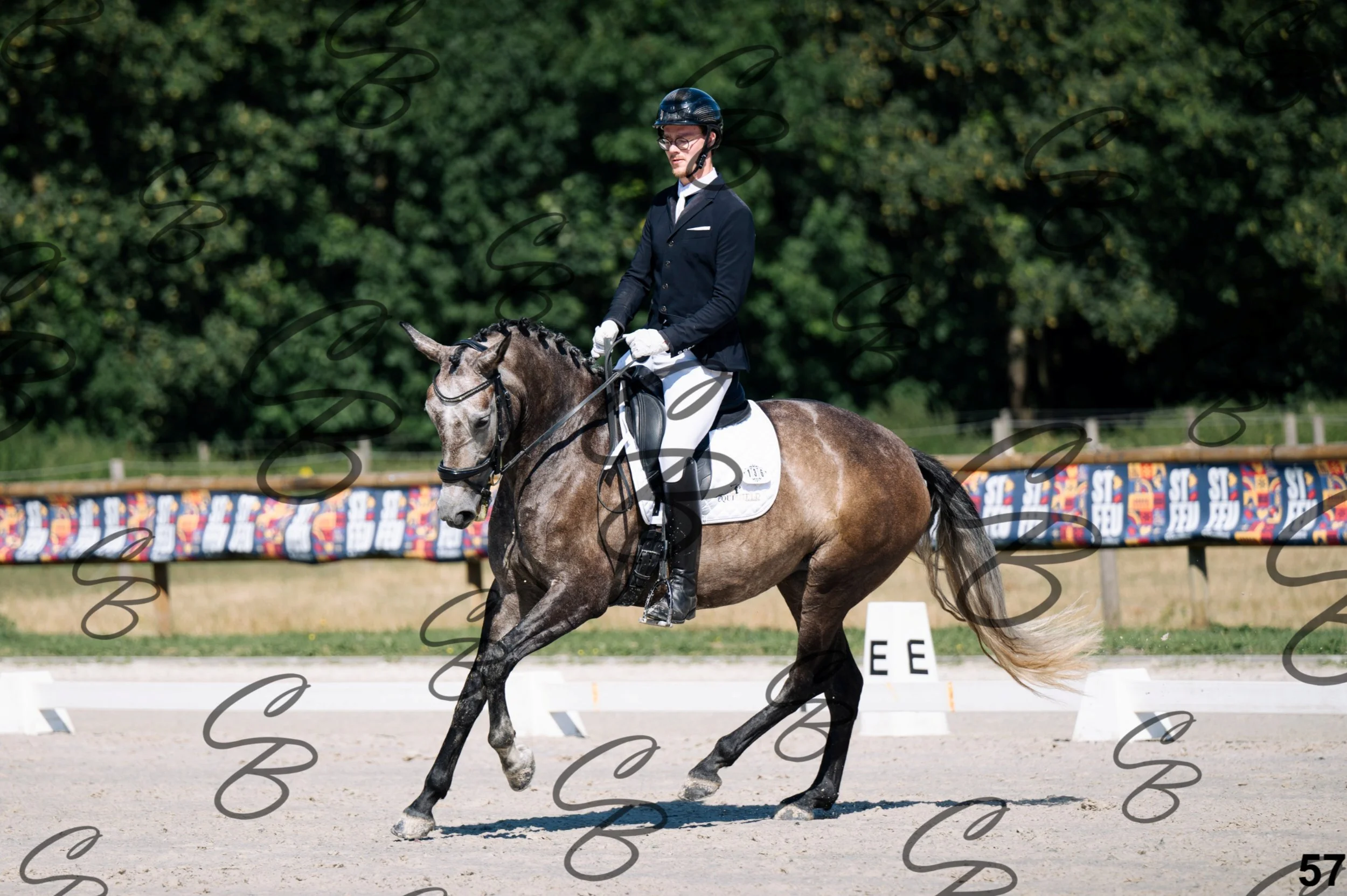2026.07.11 - 1 Primera - Jonge paarden - Jeunes chevaux -57.jpg