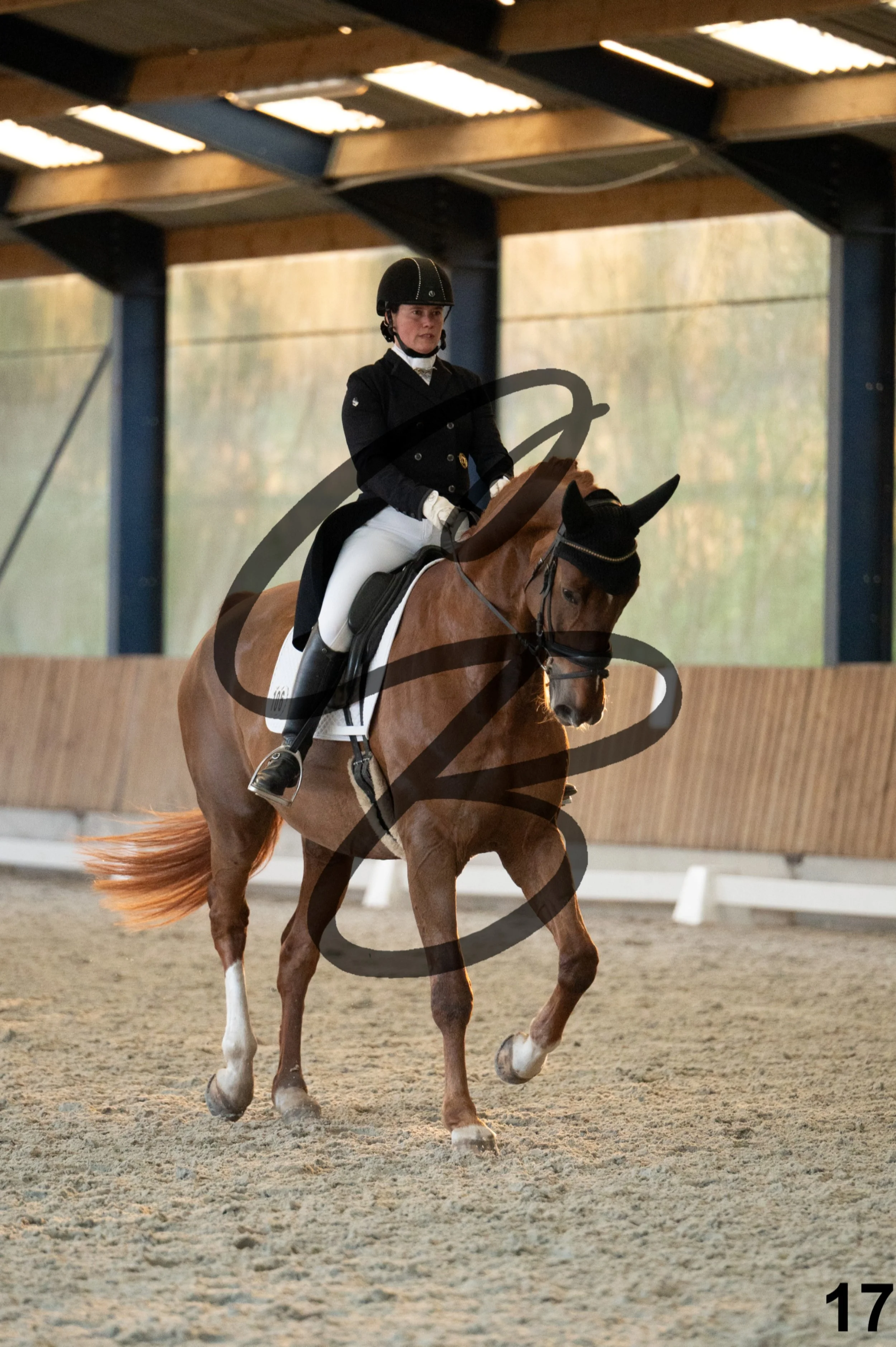 2026.03.22 - niv5 - saint georges-17.jpg