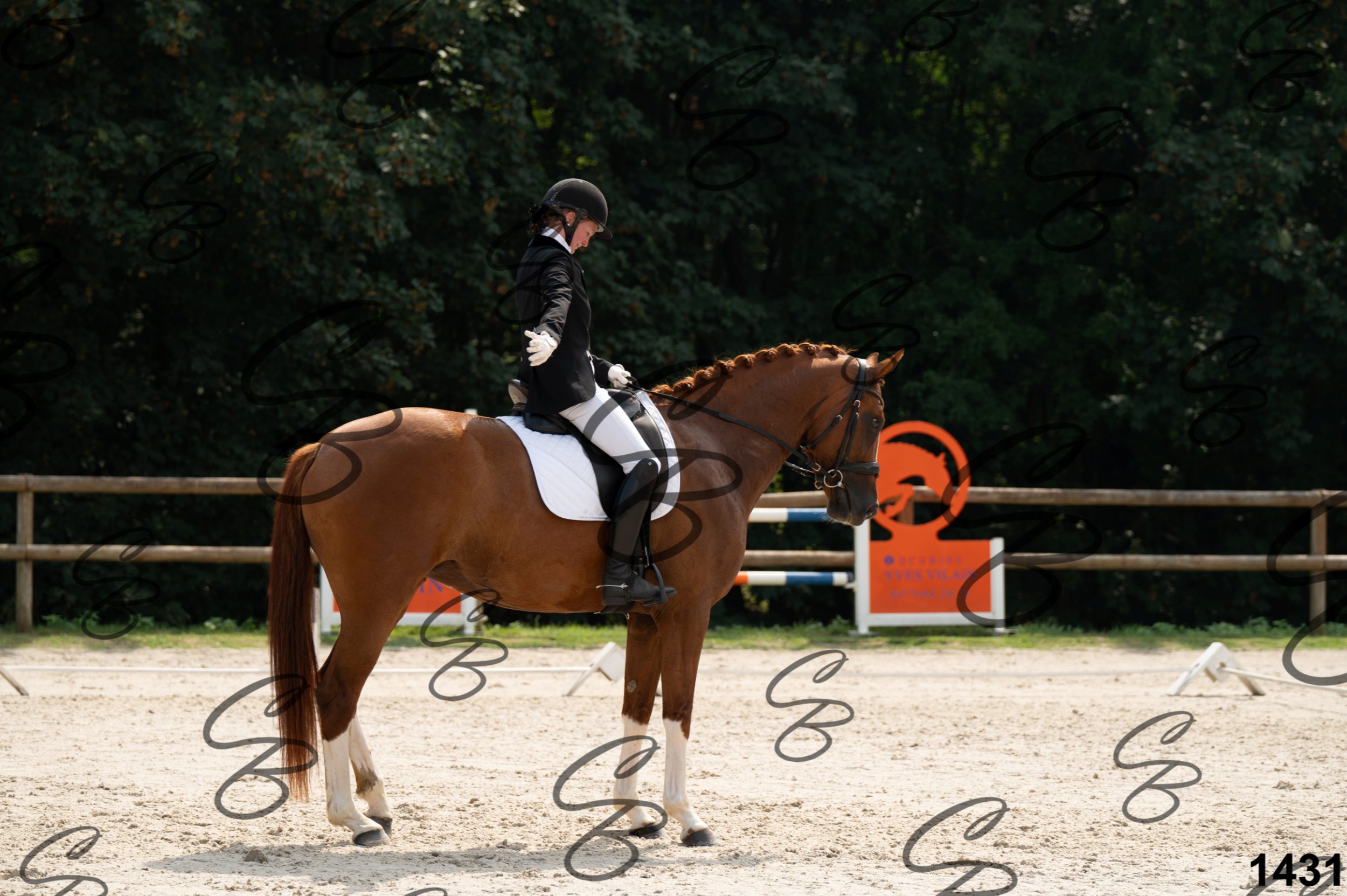 2026.08.15 - Louchier - GHO-1546.jpg