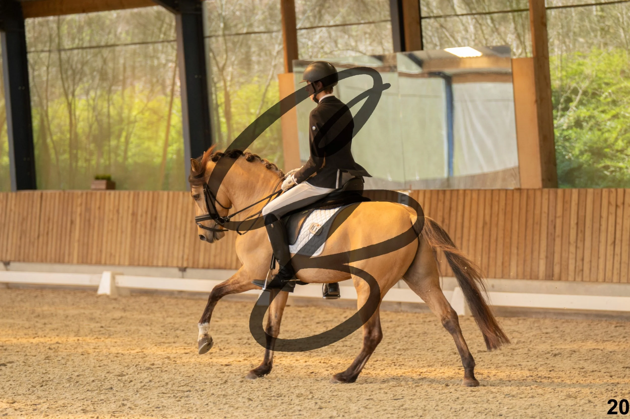 2026.03.22 - Niv3 - Pony individual test-20.jpg