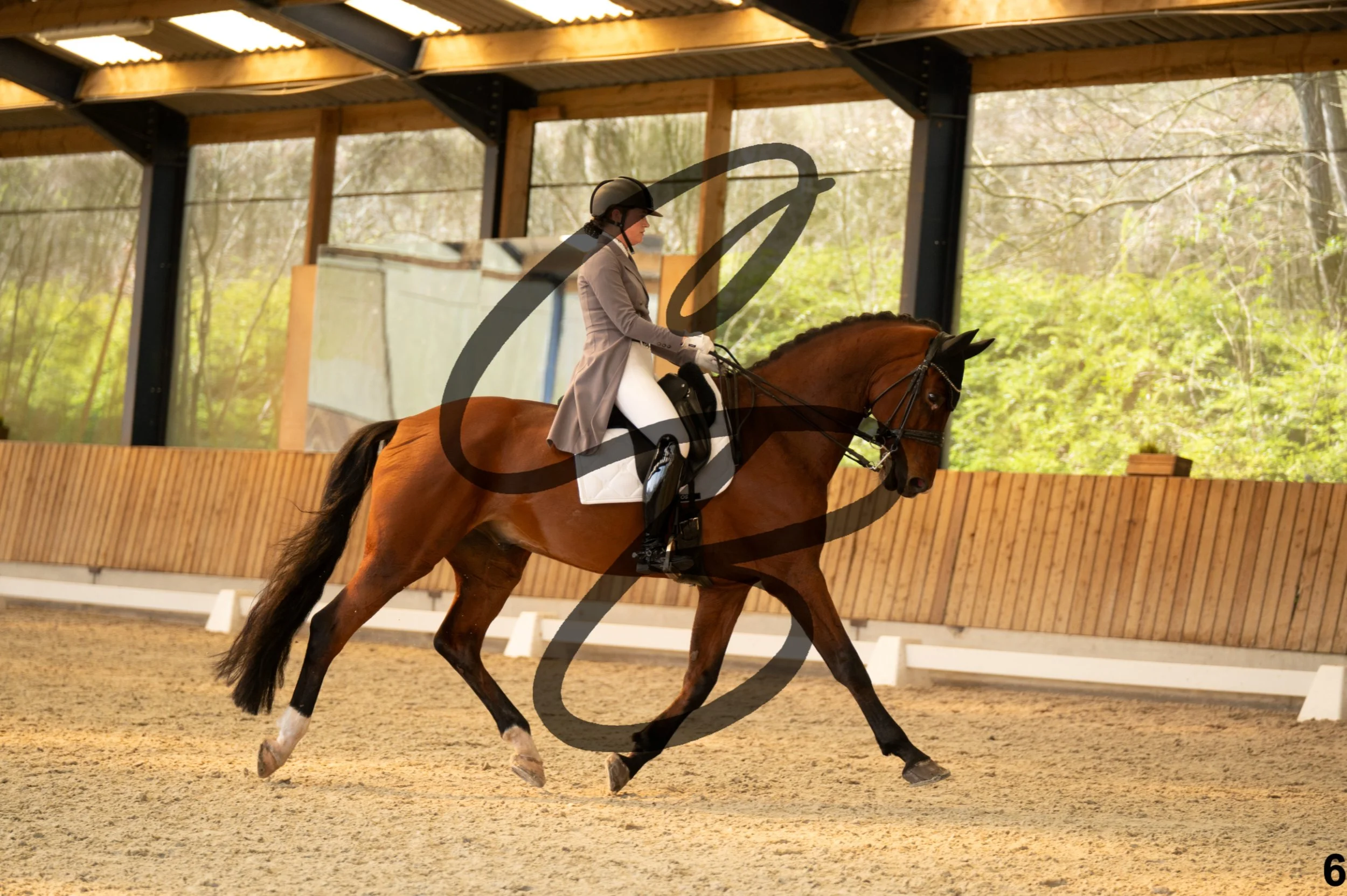 2026.03.22 - Niv - Junior rider individual test-6.jpg