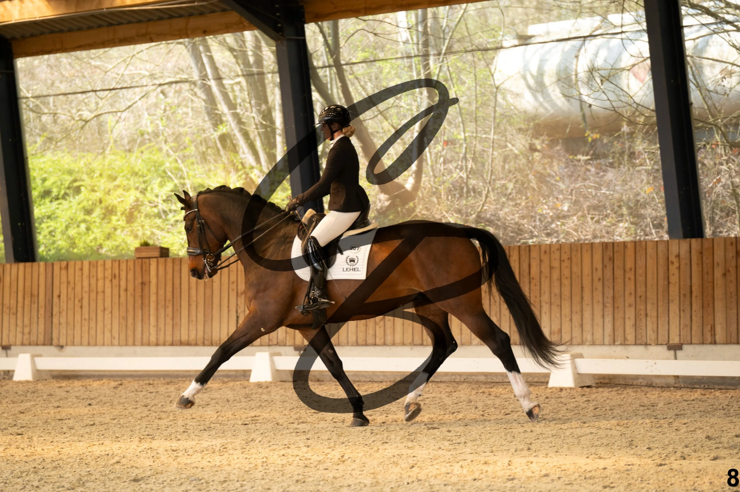 2026.03.22 - Grade 5 - grand prix test A-8.jpg