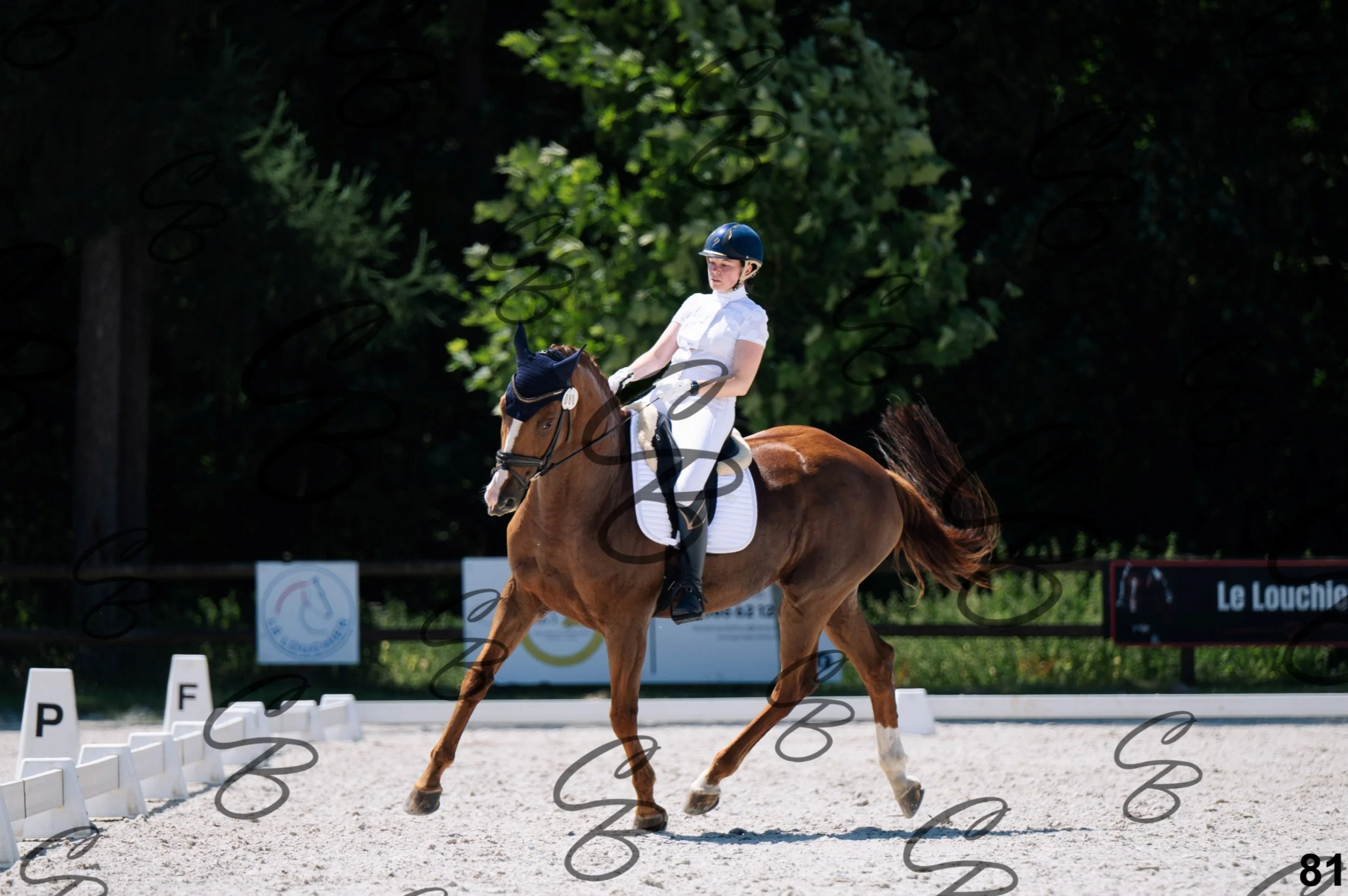 2026.07.12 - Niveau 5 - S3-81.jpg