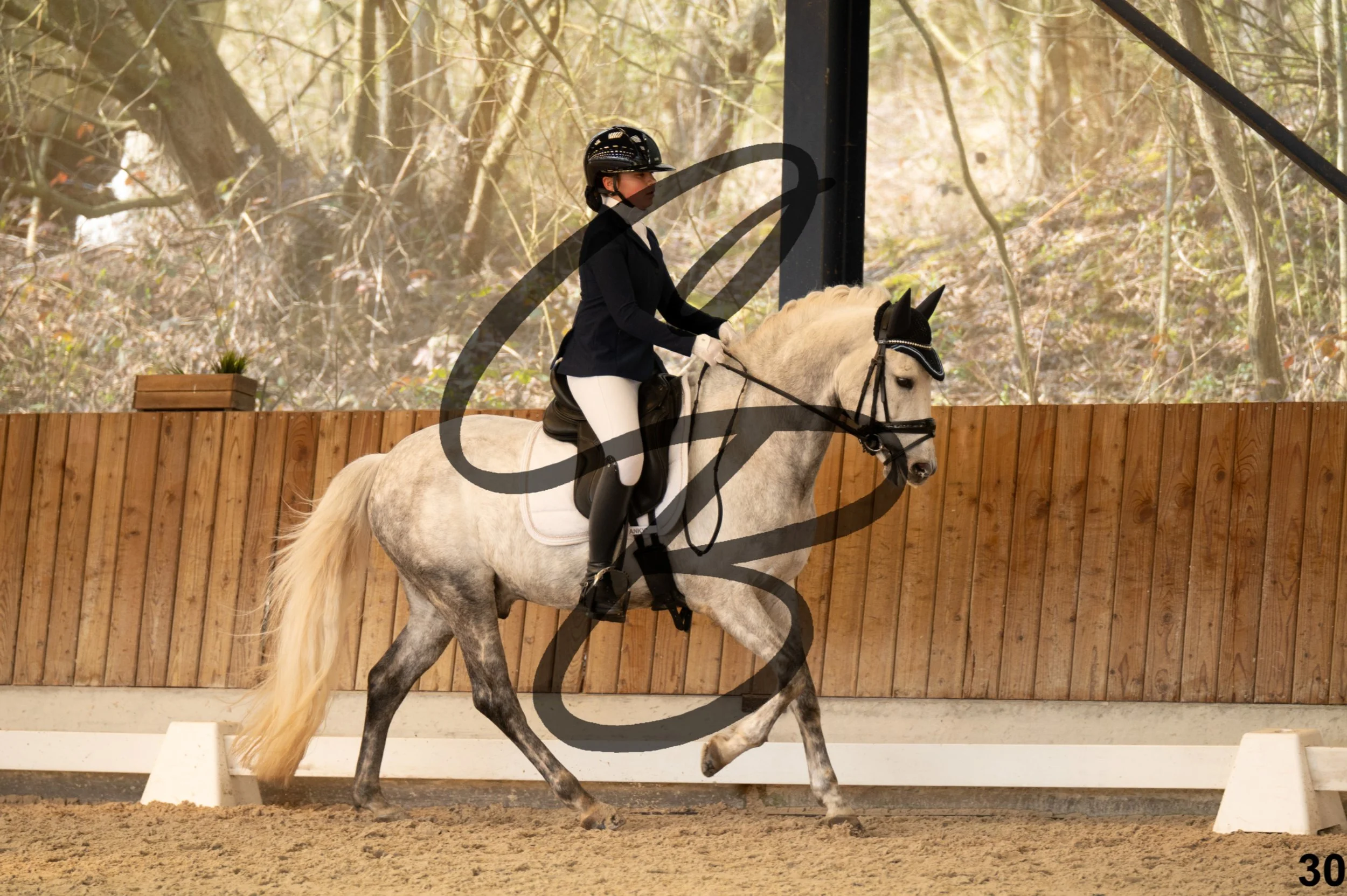 2026.03.22 - Niv3 - Pony individual test-30.jpg