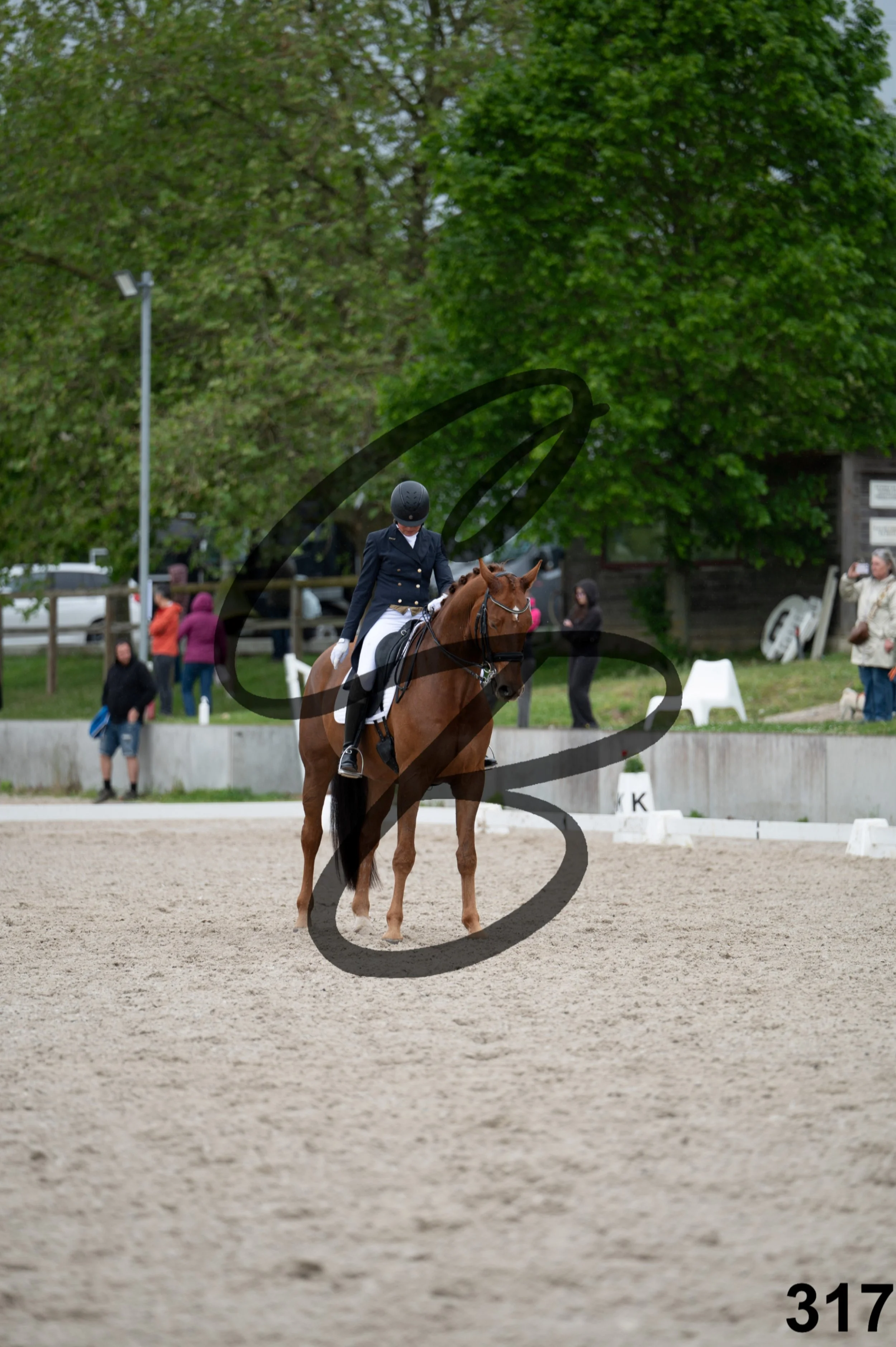 03052026-FLE_7594.jpg