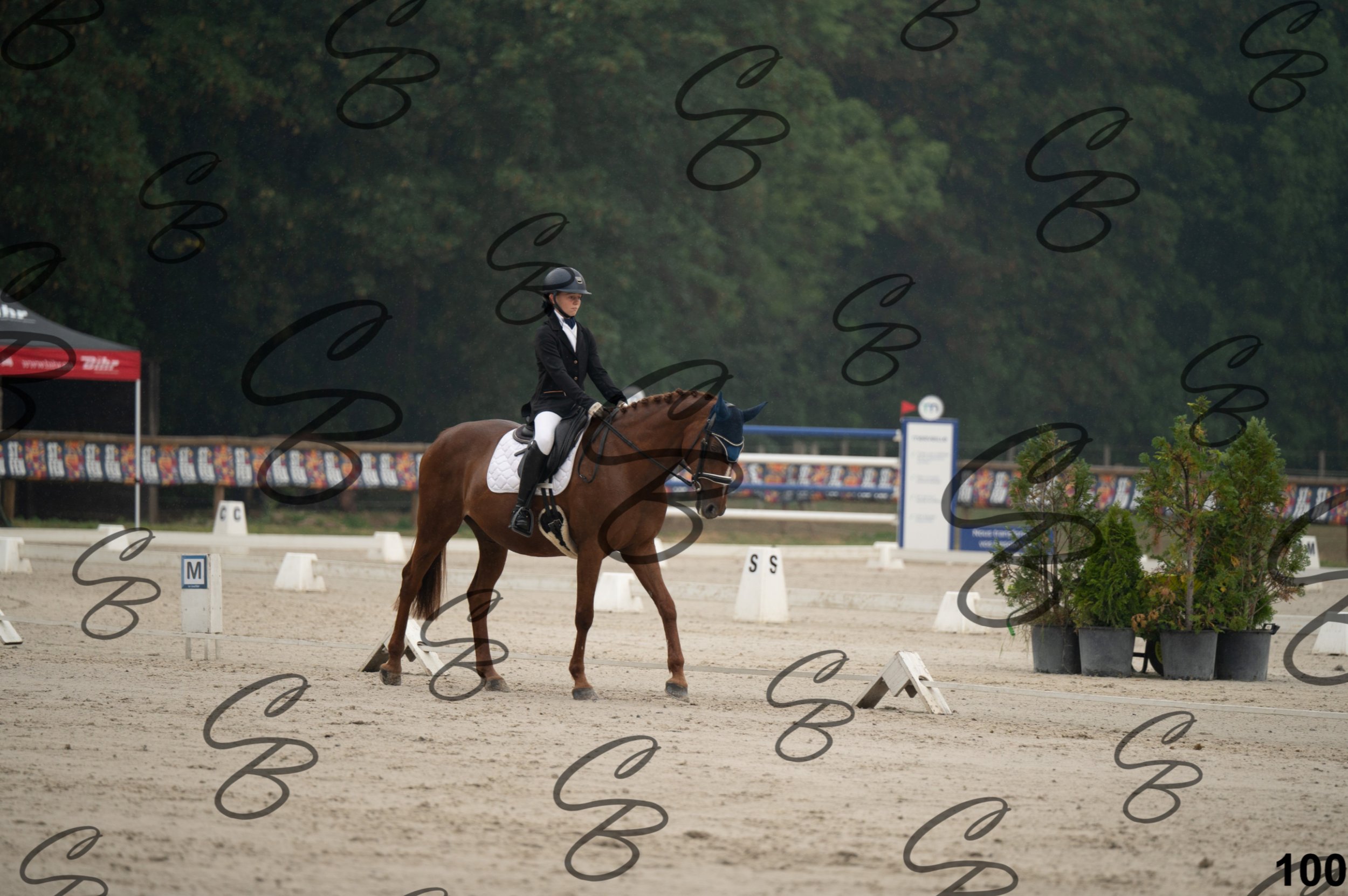 2026.08.15 - Louchier - GHO-141.jpg