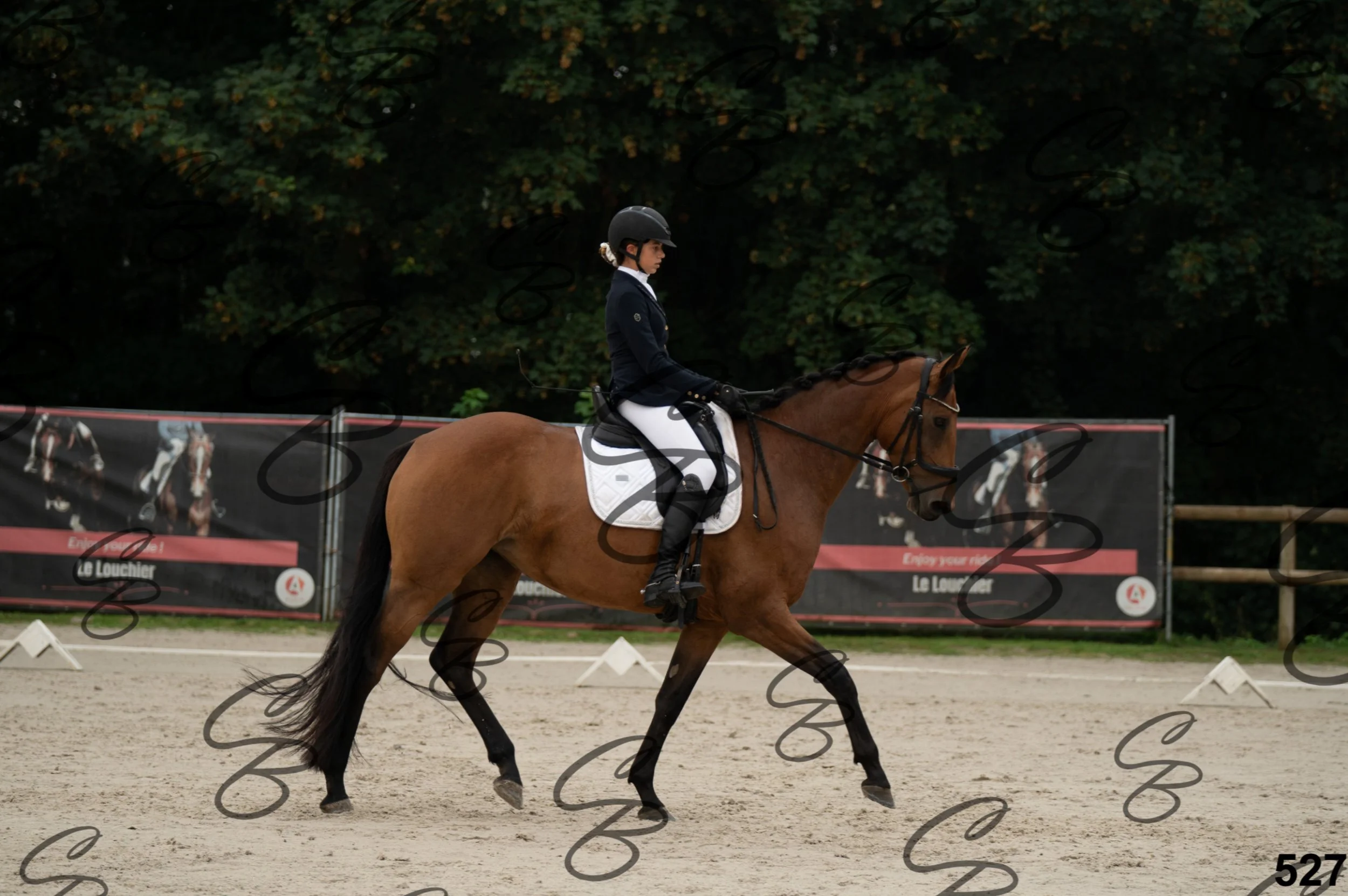 2026.08.15 - Louchier - GHO-405.jpg