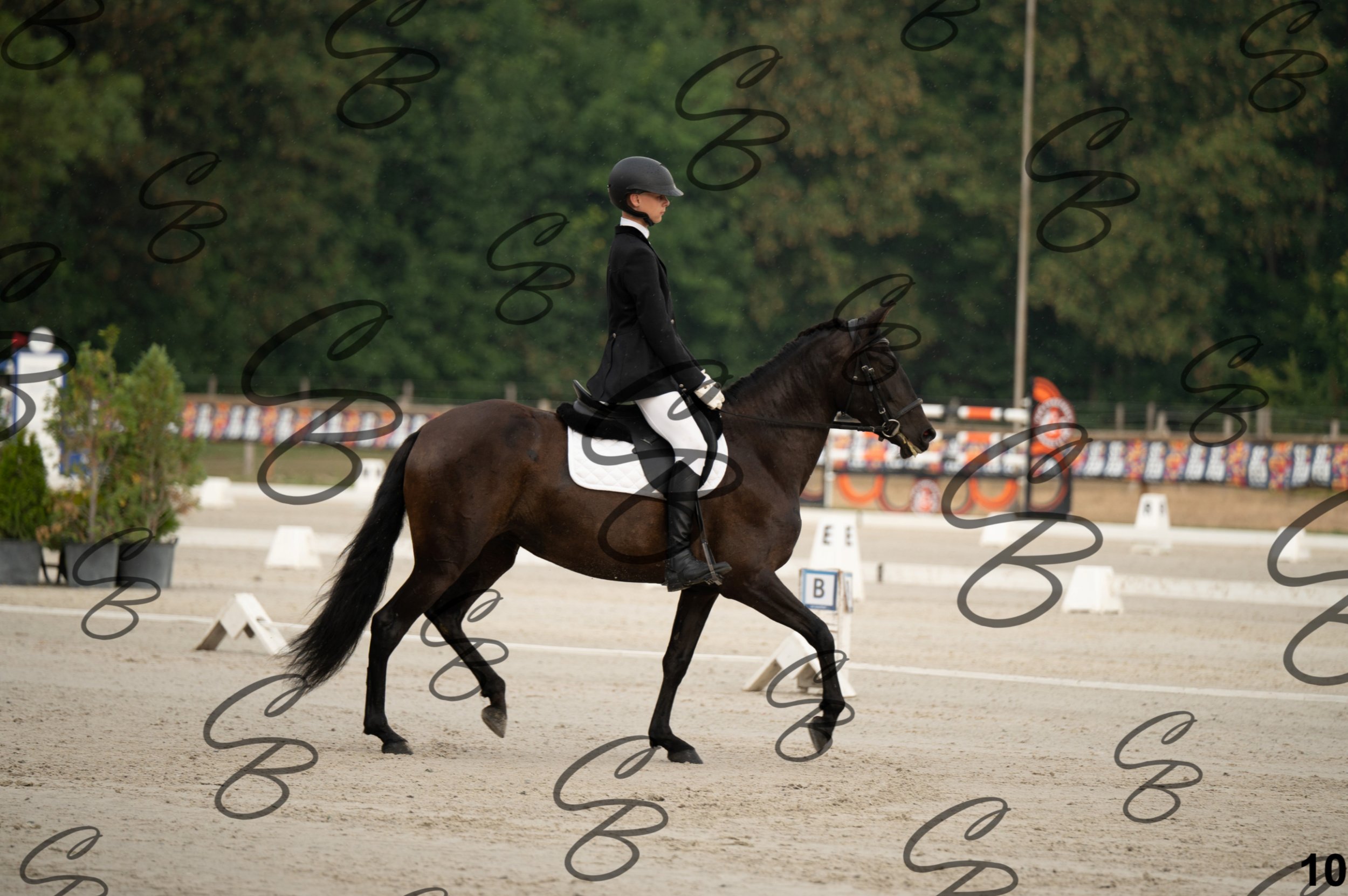 2026.08.15 - Louchier - GHO-22.jpg