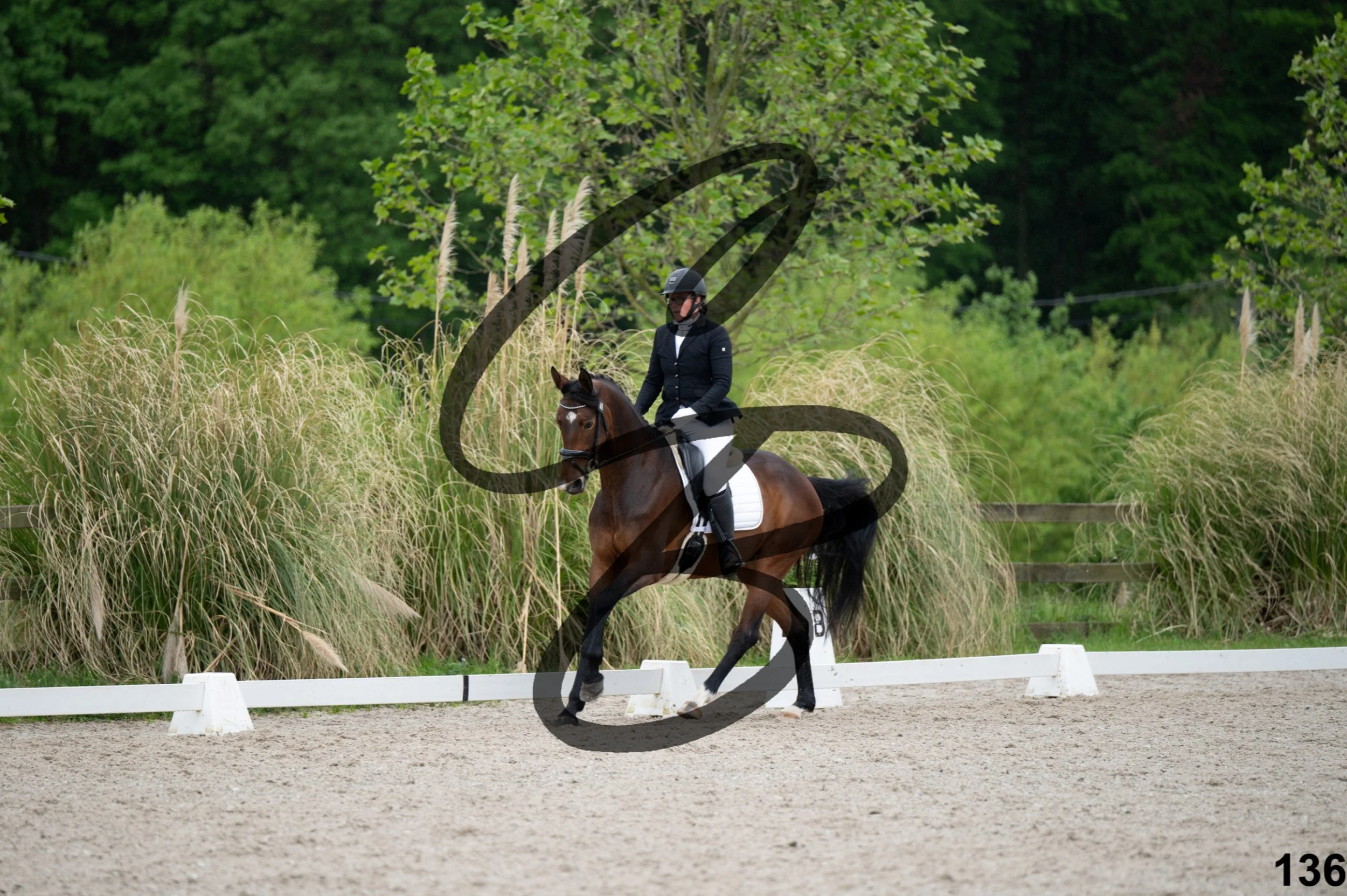 03052026-FLE_7552.jpg