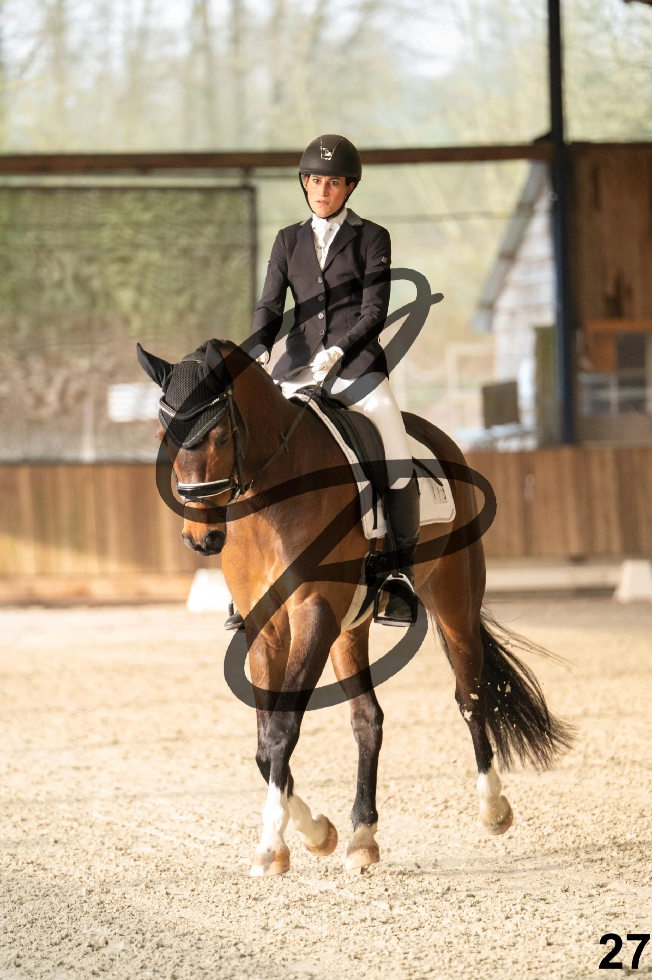 2026.03.22 - jeunes chevaux - 5ans-27.jpg