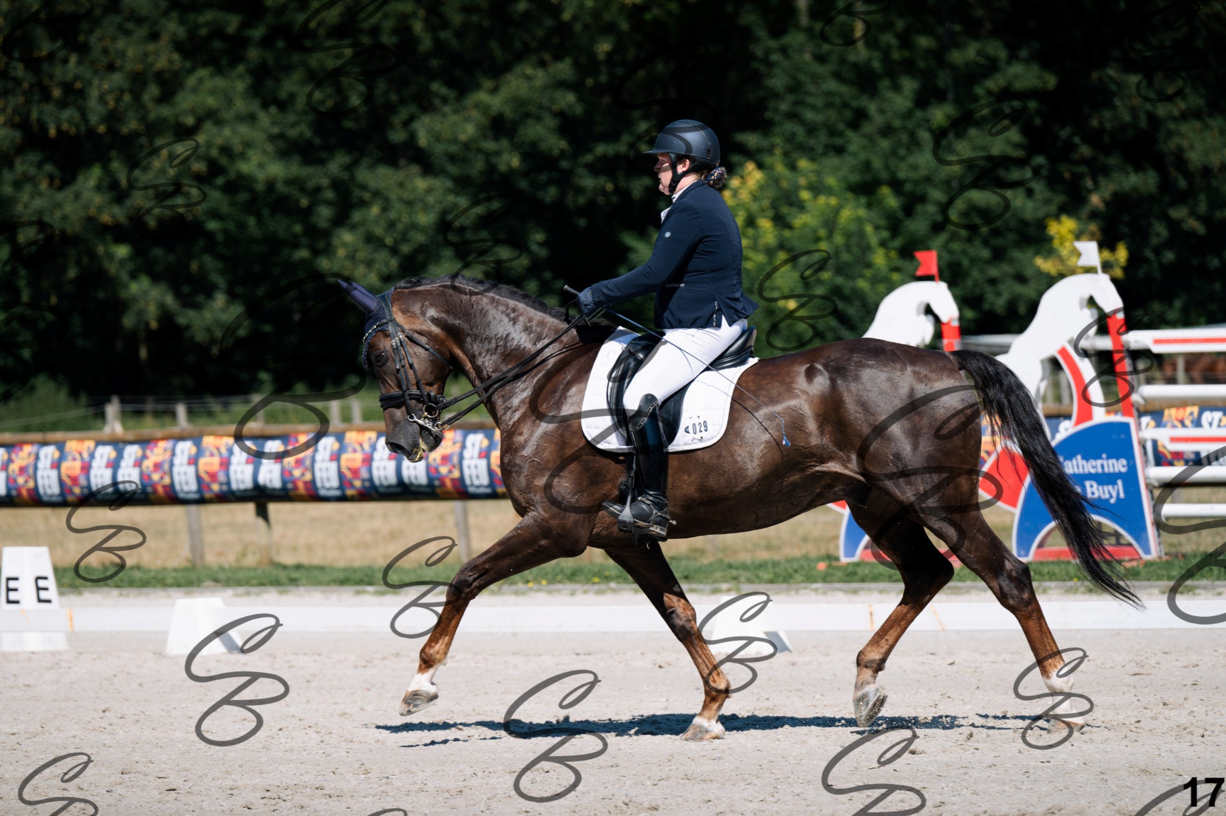 2026.07.12 - Niveau 4 - N4.3-17.jpg