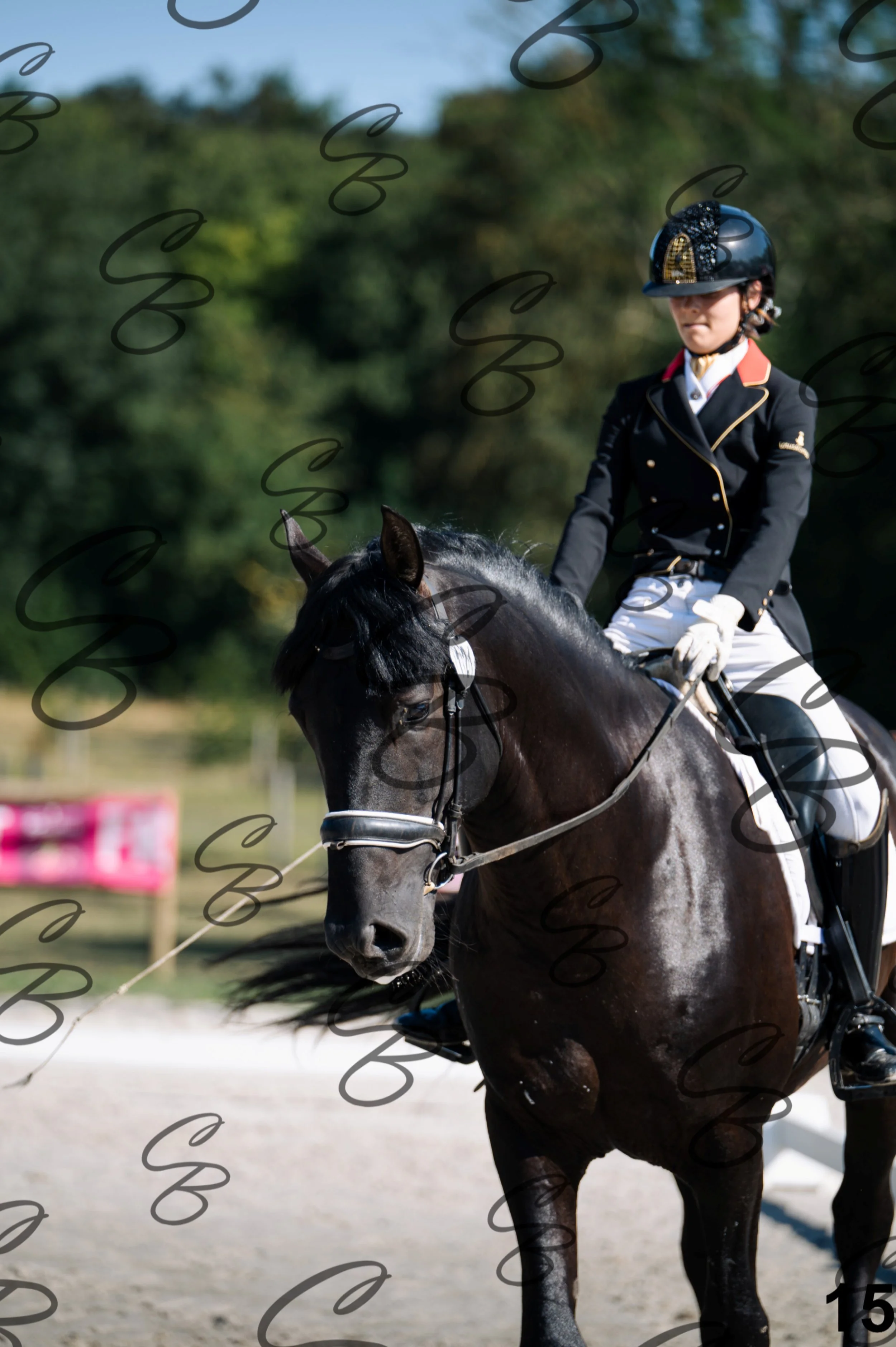 2026.07.11 - 1 Primera - Jonge paarden - Jeunes chevaux -15.jpg