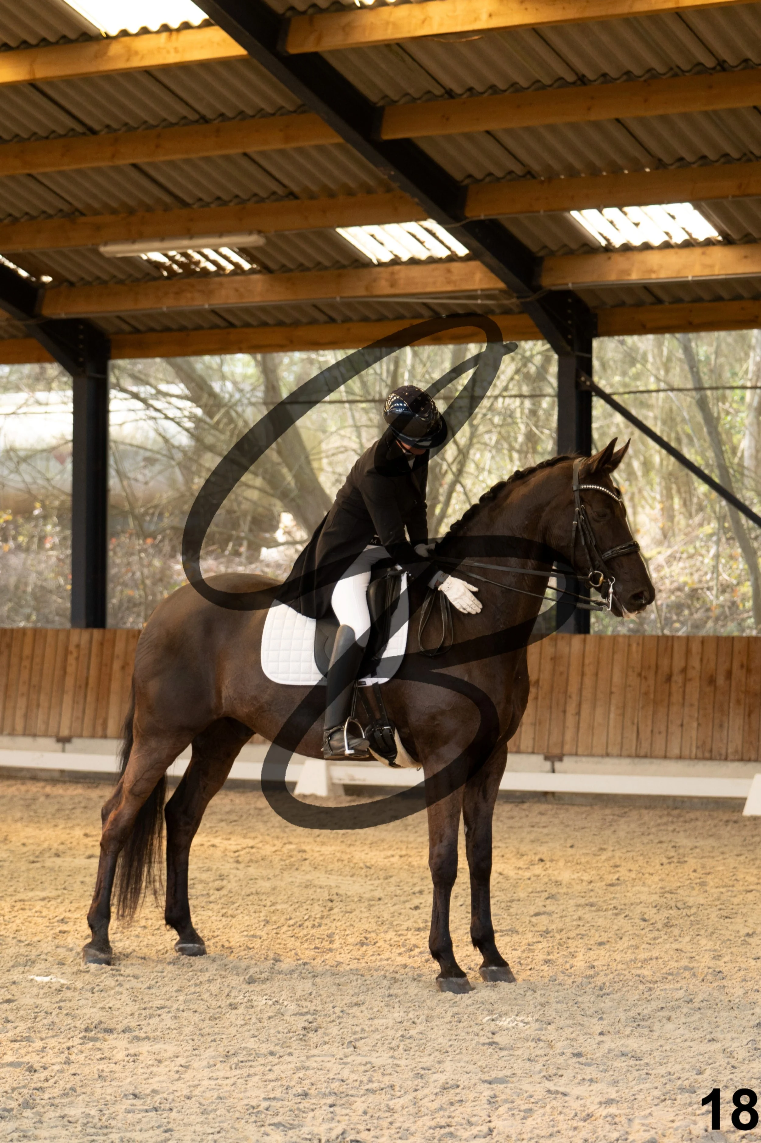 2026.03.22 - grand prix-18.jpg