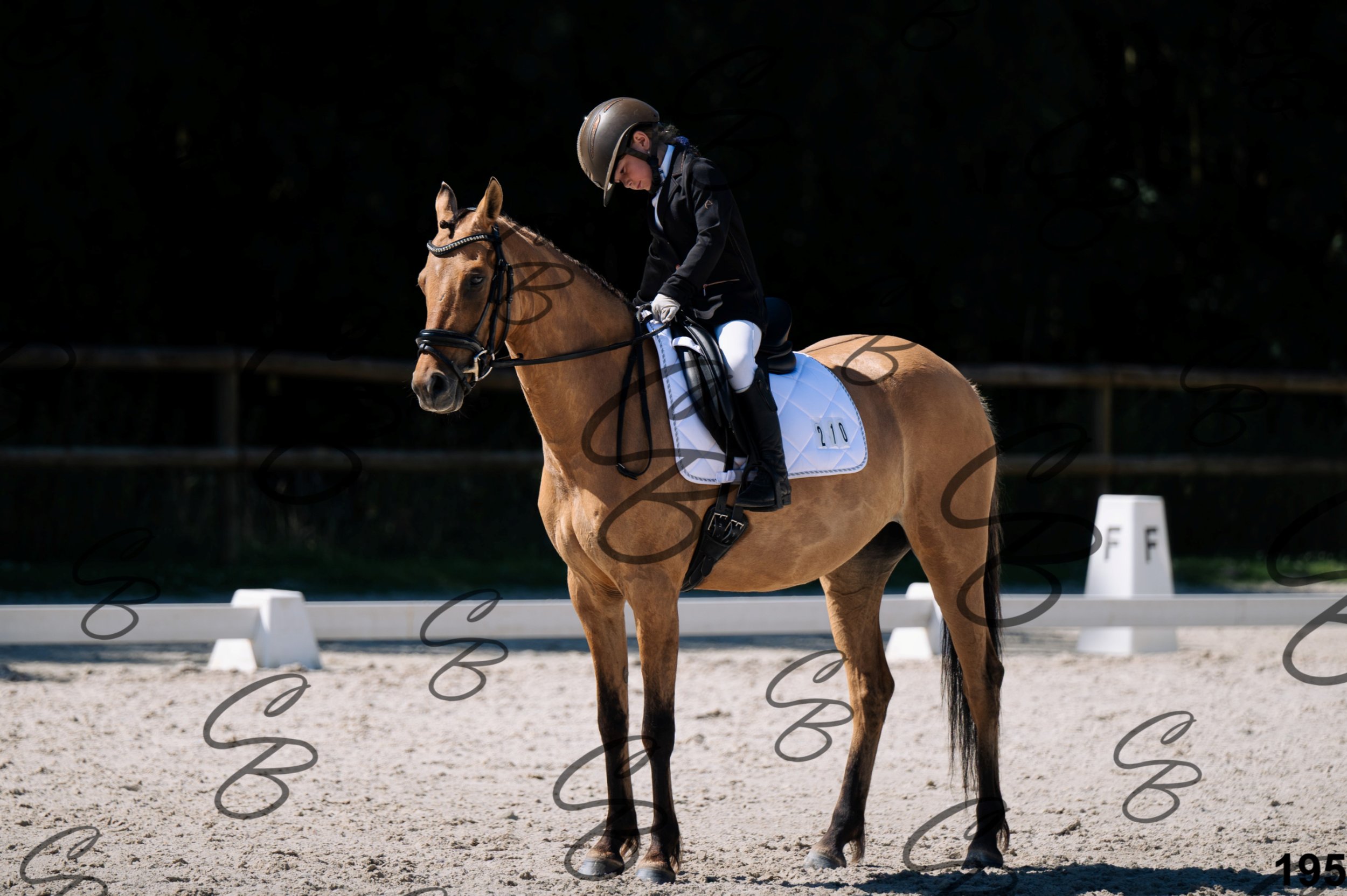 2026.07.12 -106 Niveau Initiation Poneys - Ini.6-12.jpg