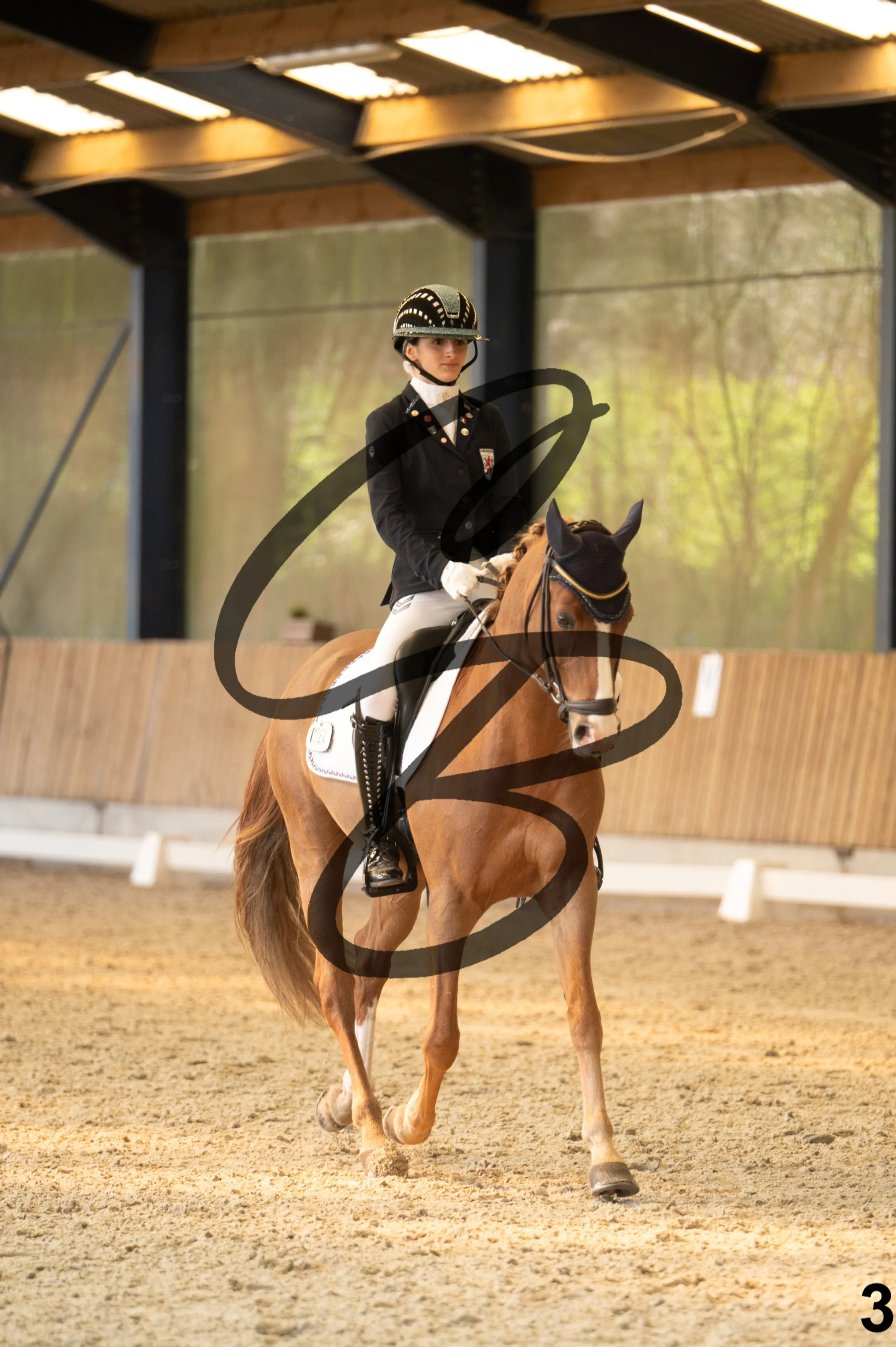 2026.03.22 - Niv3 - Pony individual test-3.jpg