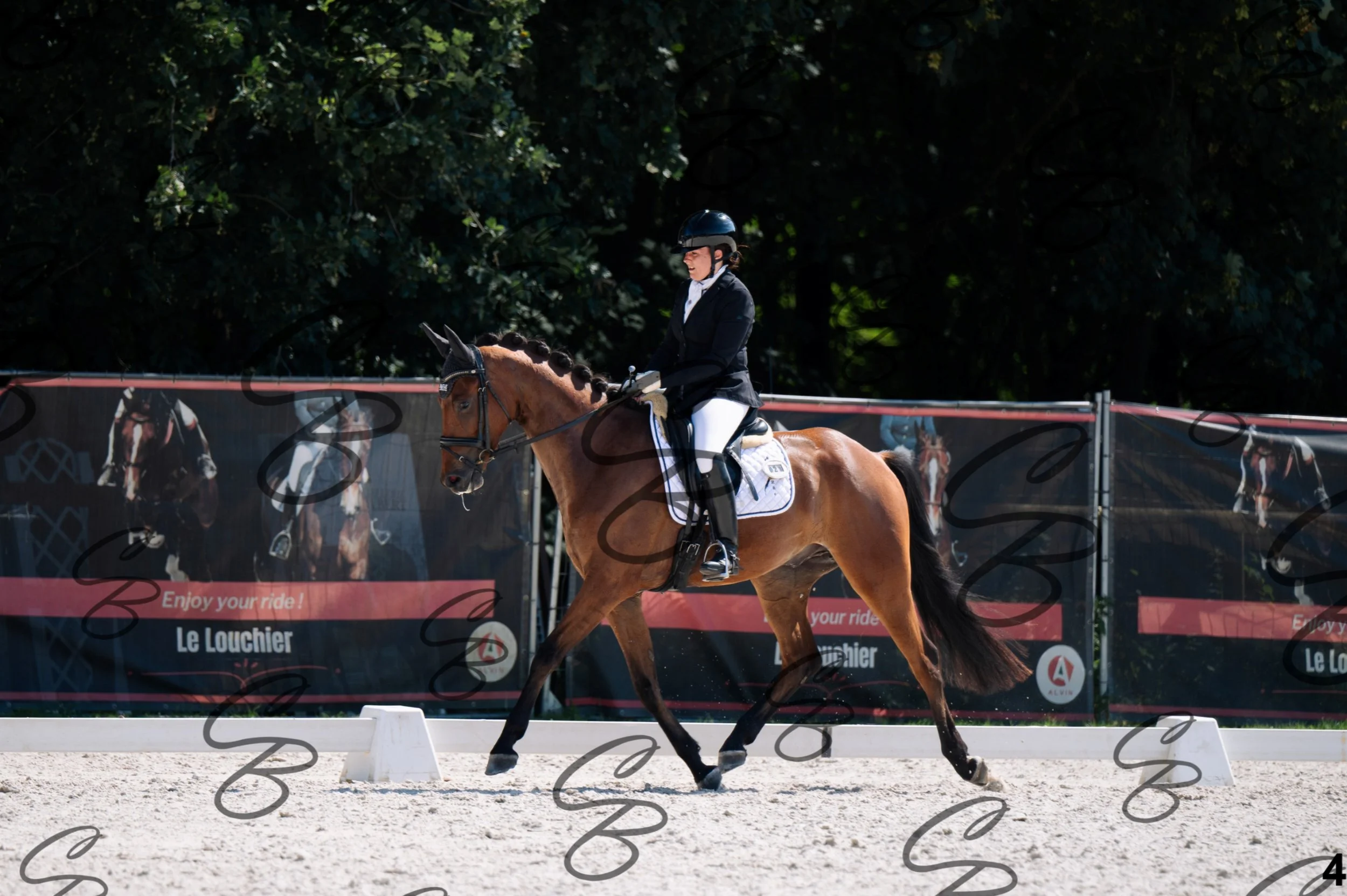 2026.07.12 - Jeunes chevaux - FEI 4YH Final Test-4.jpg