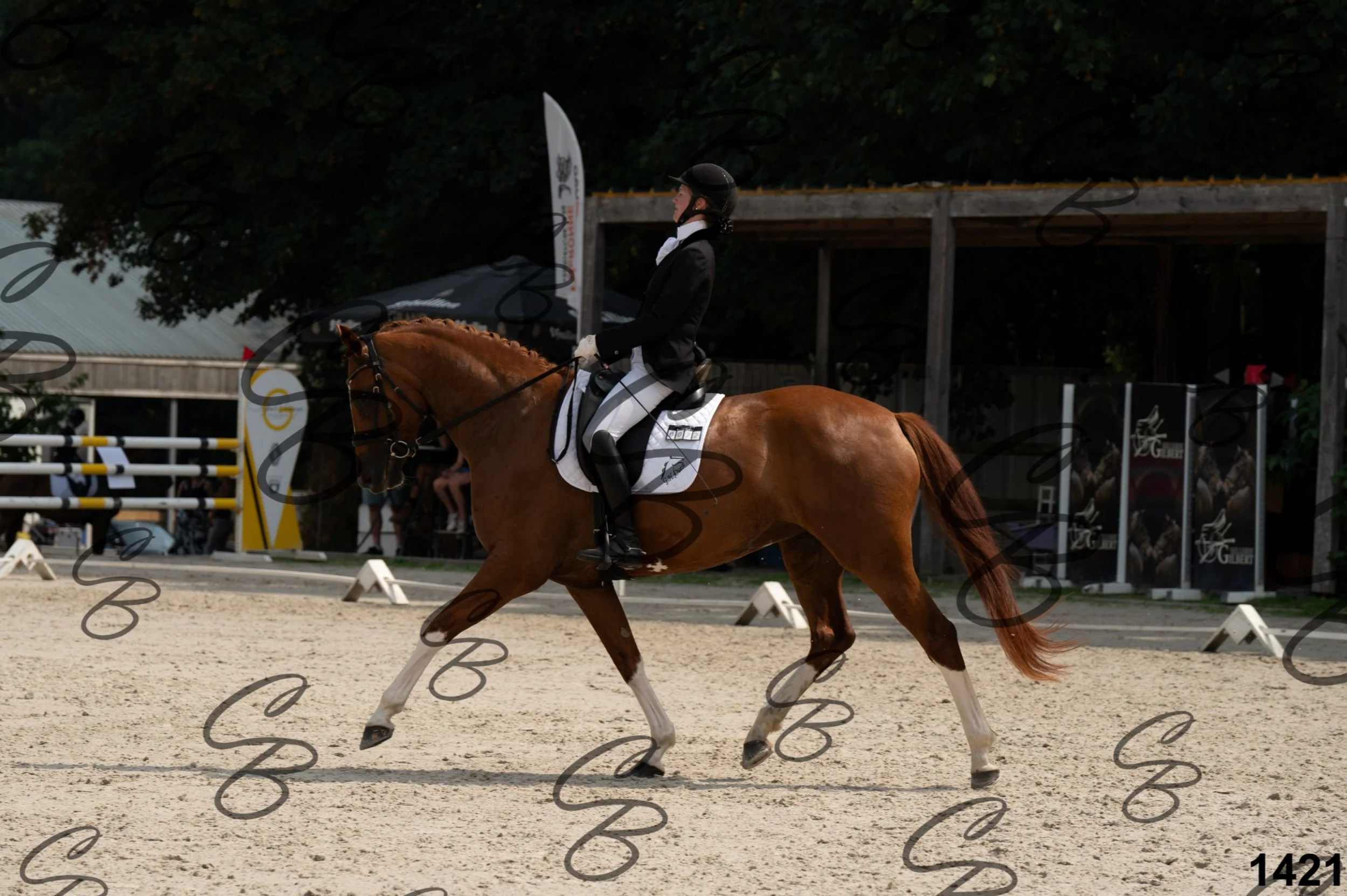 2026.08.15 - Louchier - GHO-1514.jpg