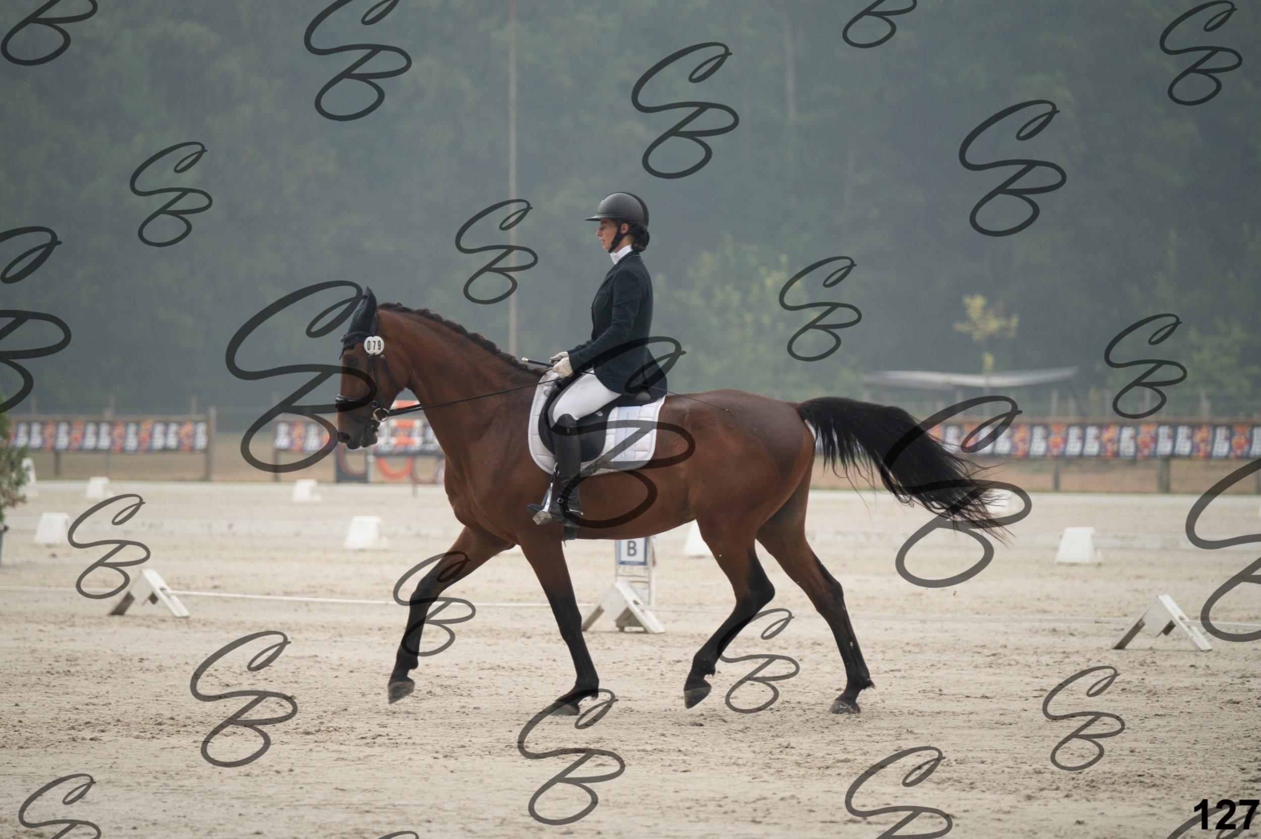 2026.08.15 - Louchier - GHO-176.jpg