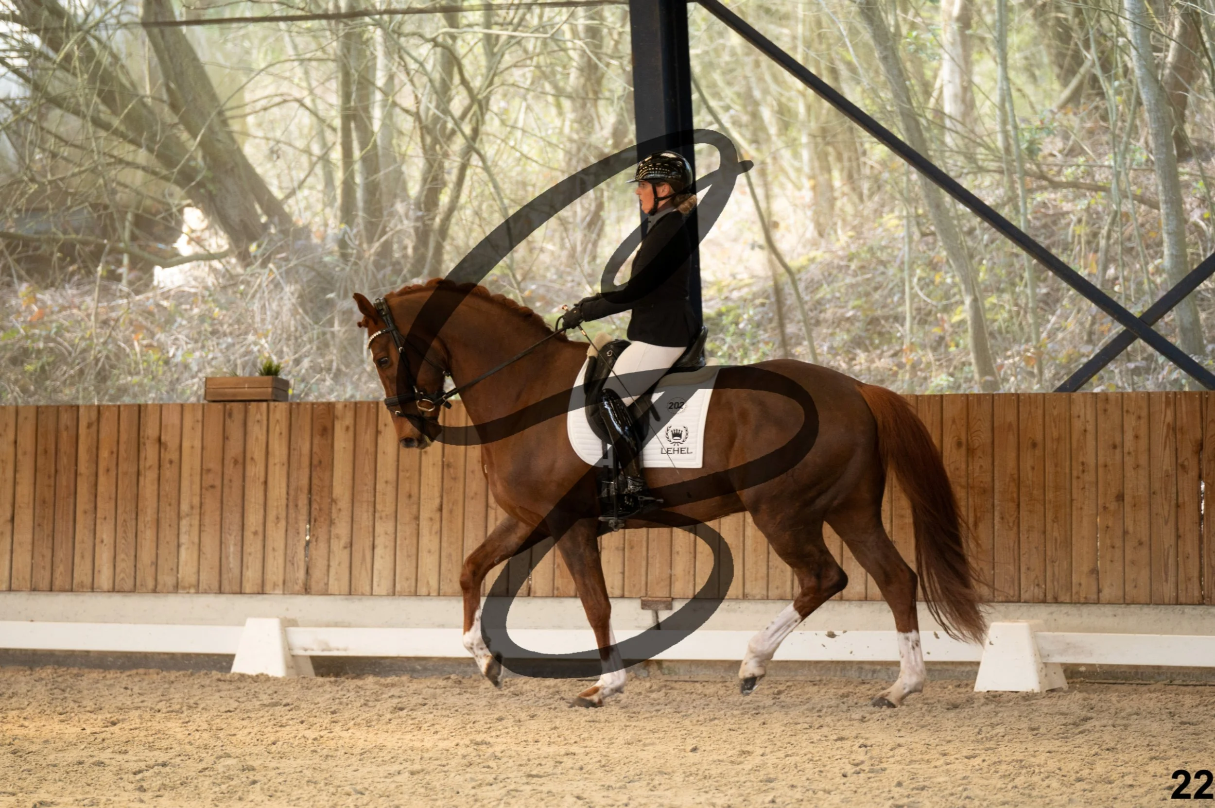 2026.03.22 - Grade 5 - grand prix test B-22.jpg