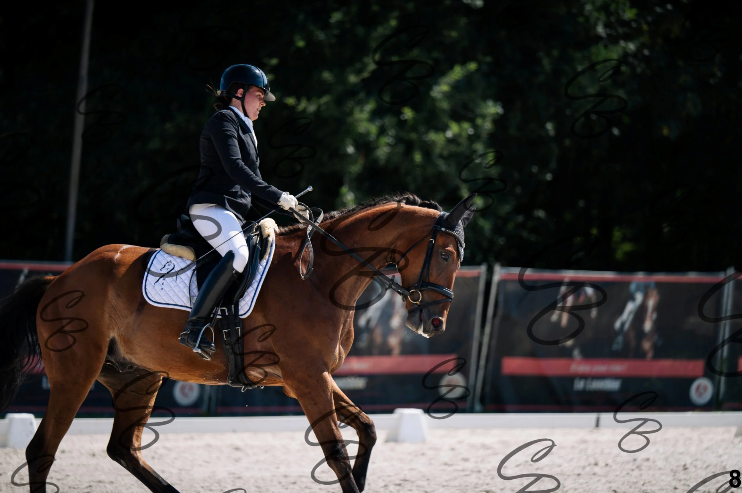 2026.07.12 - Jeunes chevaux - FEI 4YH Final Test-8.jpg