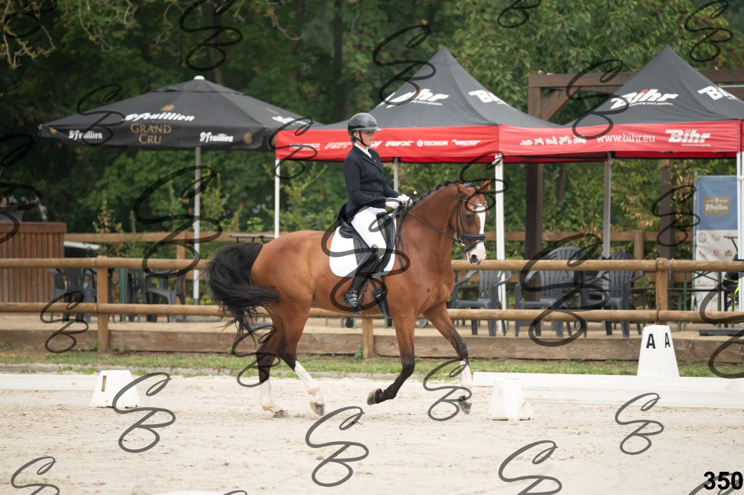 2026.08.15 - Louchier - GHO-528.jpg