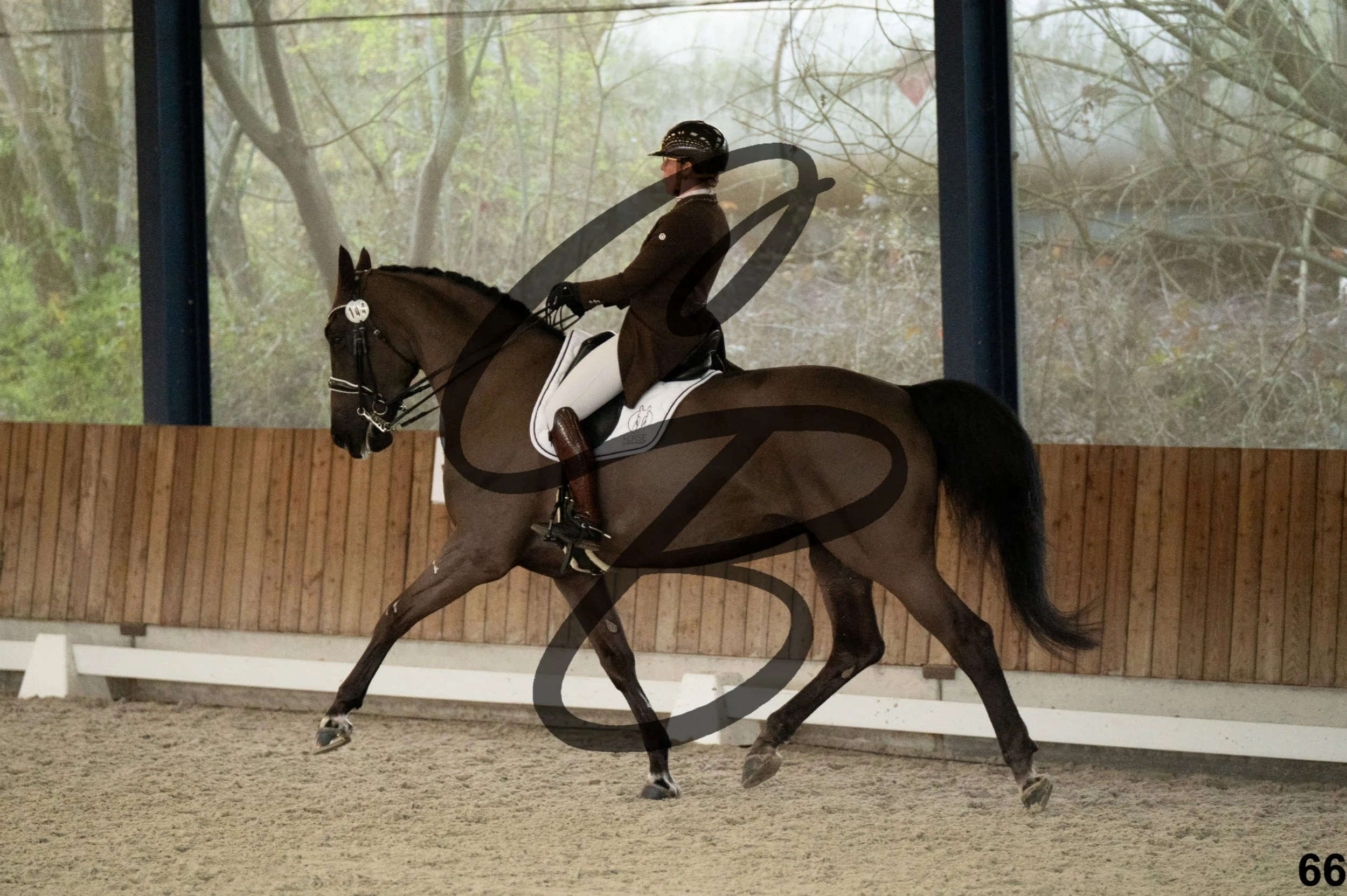 2026.03.22 - niv5 - saint georges-66.jpg