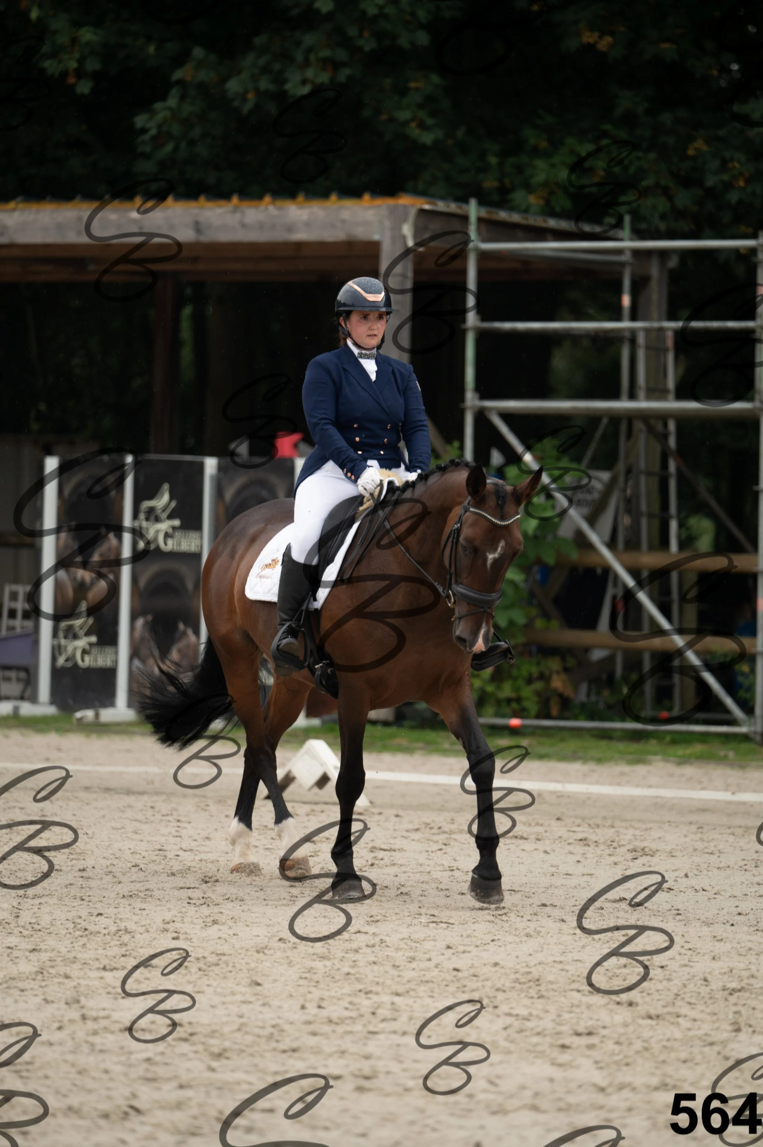 2026.08.15 - Louchier - GHO-498.jpg