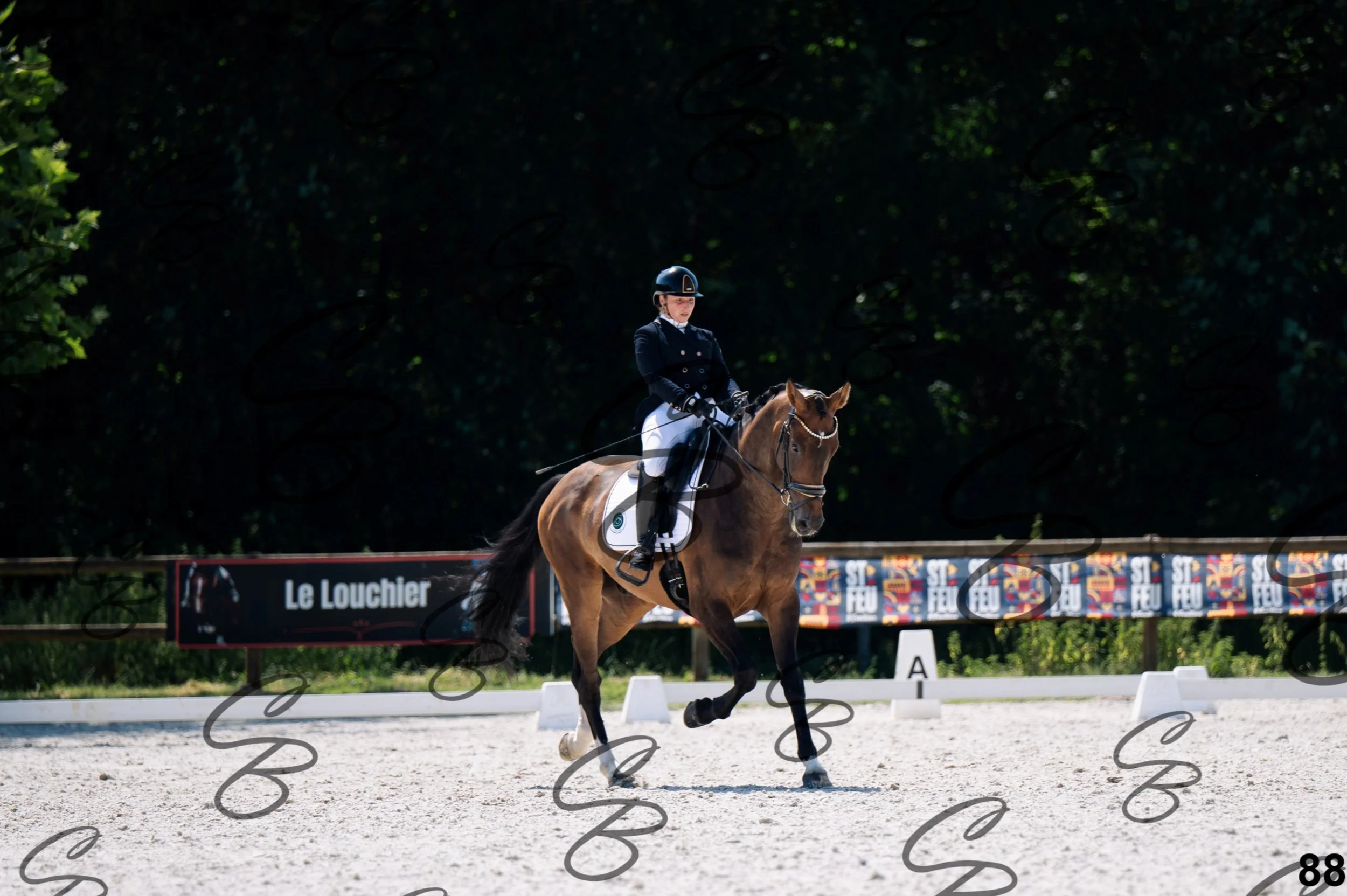2026.07.12 - Niveau 2 - N2.4-88.jpg