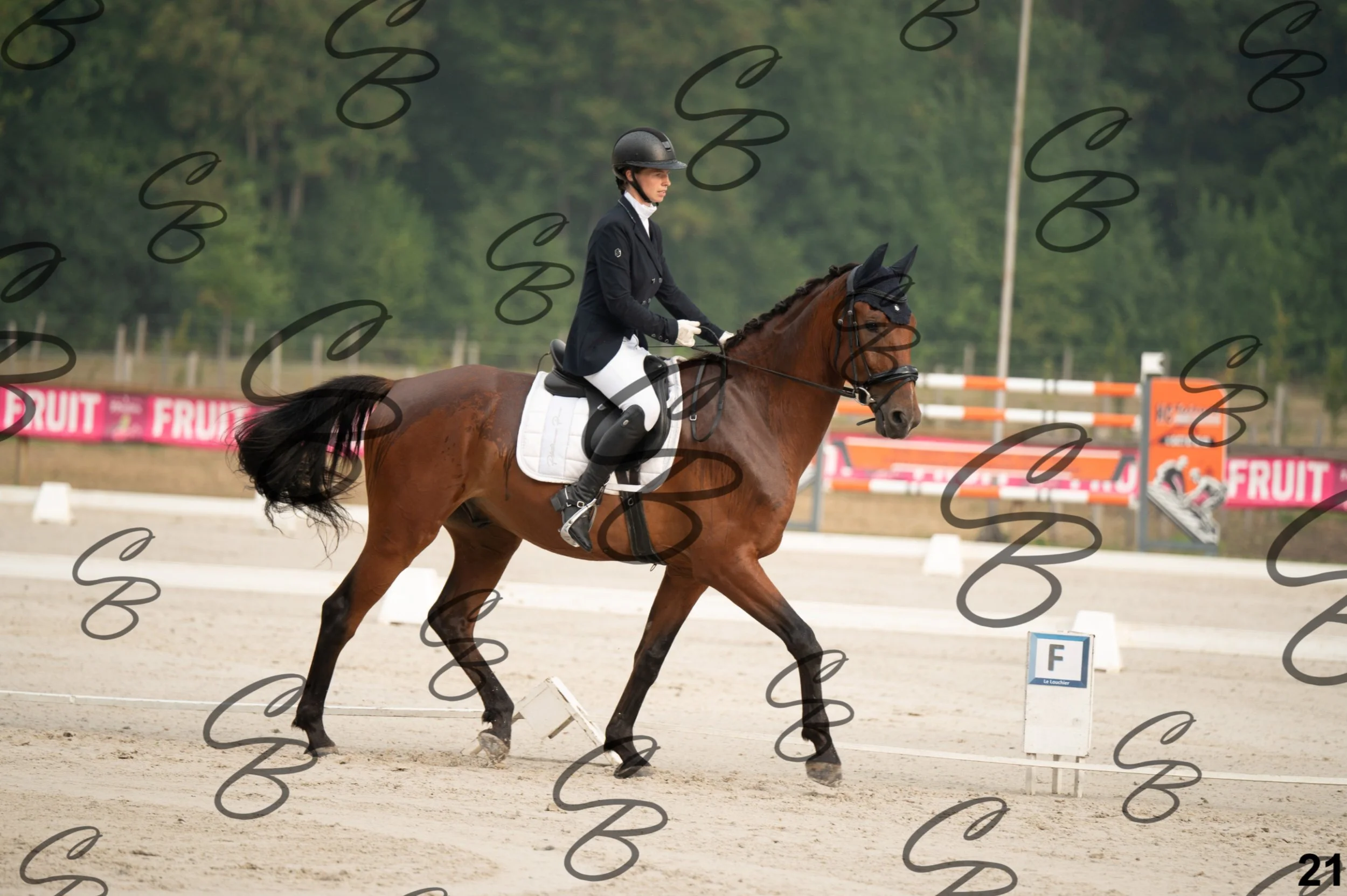 2026.08.15 - Louchier - GHO-42.jpg