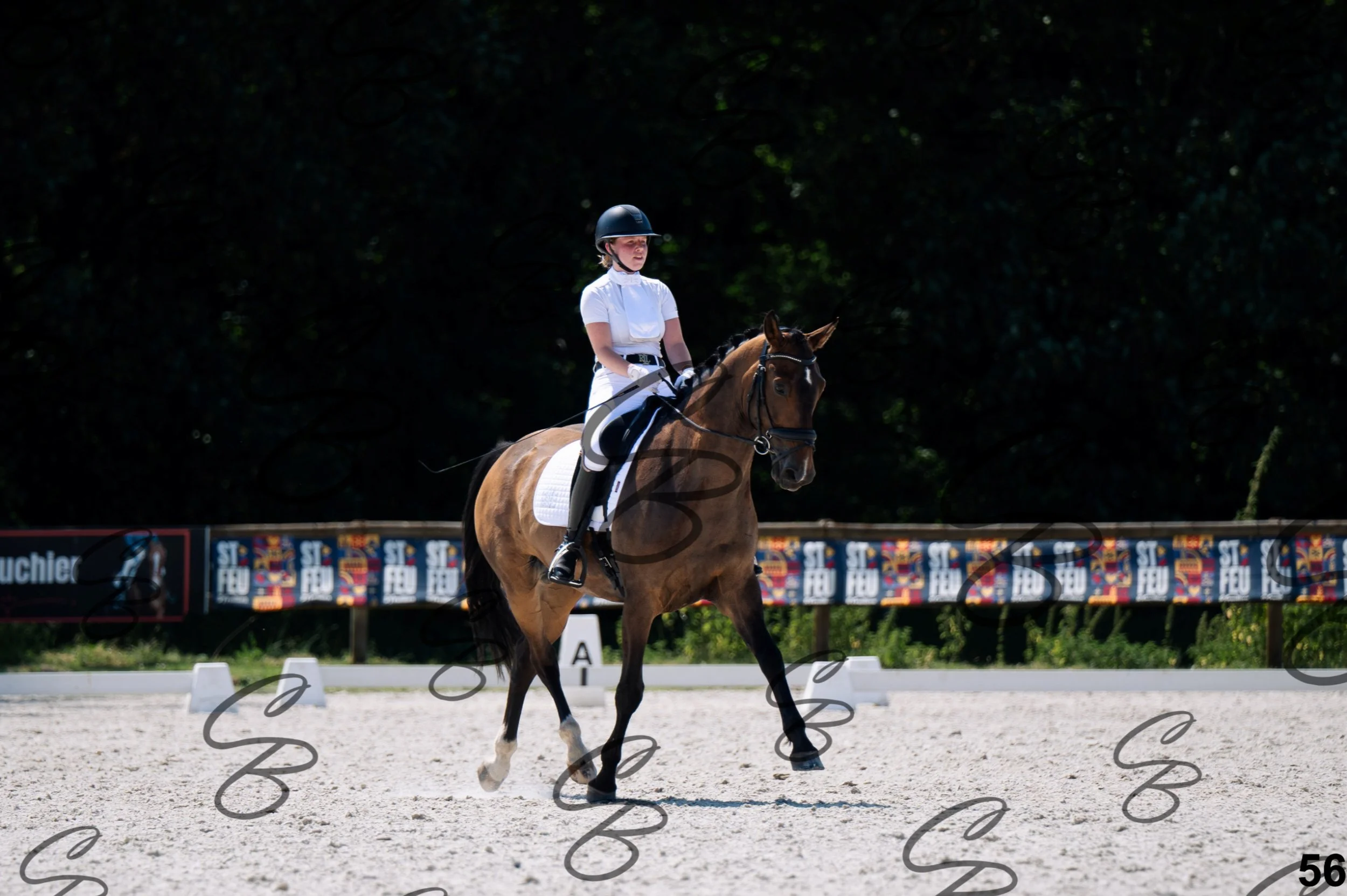 2026.07.12 - Niveau 2 - N2.4-56.jpg