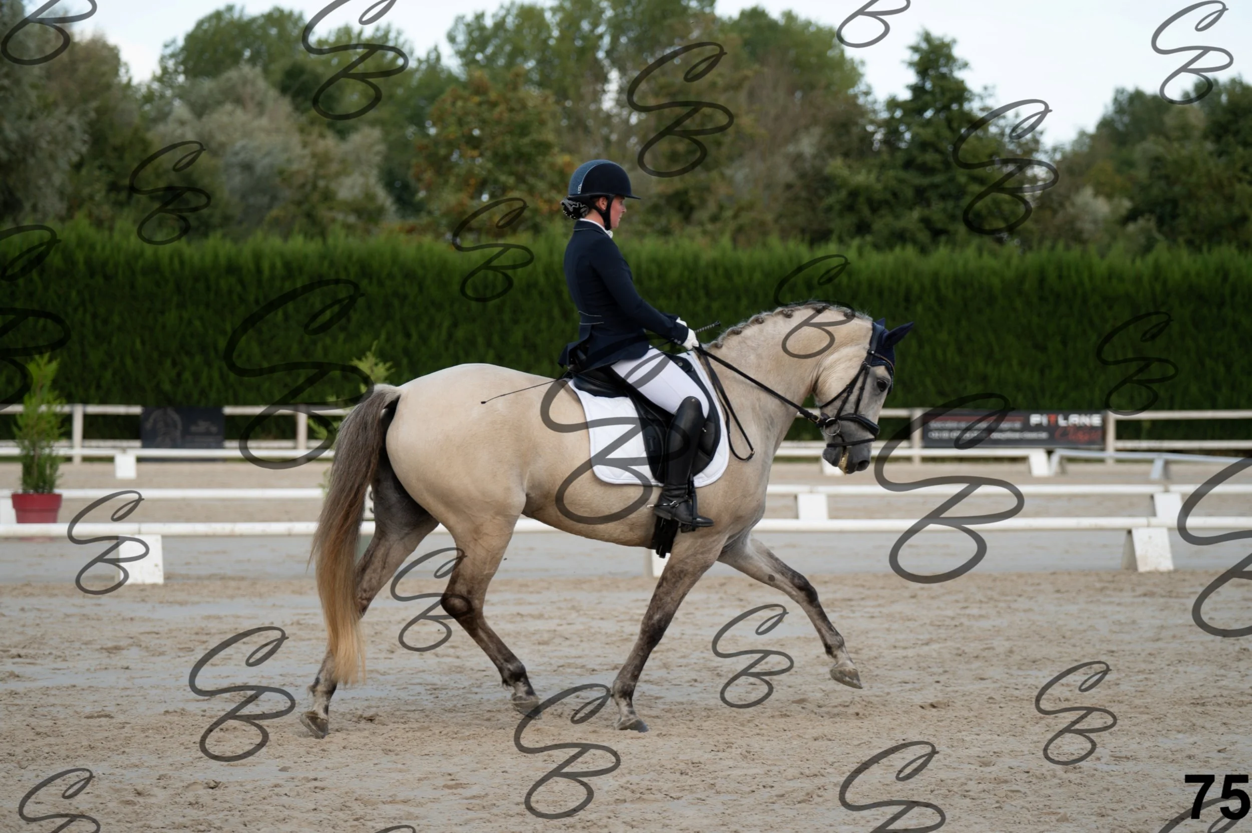 2026.09.20 - Djessy-75.jpg