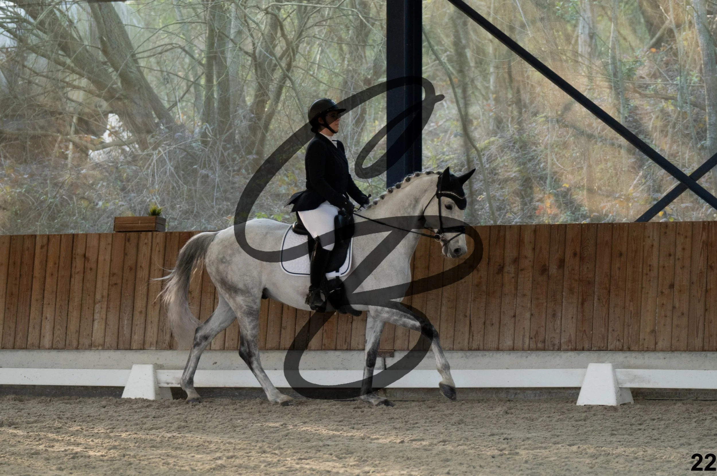 2026.03.22 - niv4.2-22.jpg