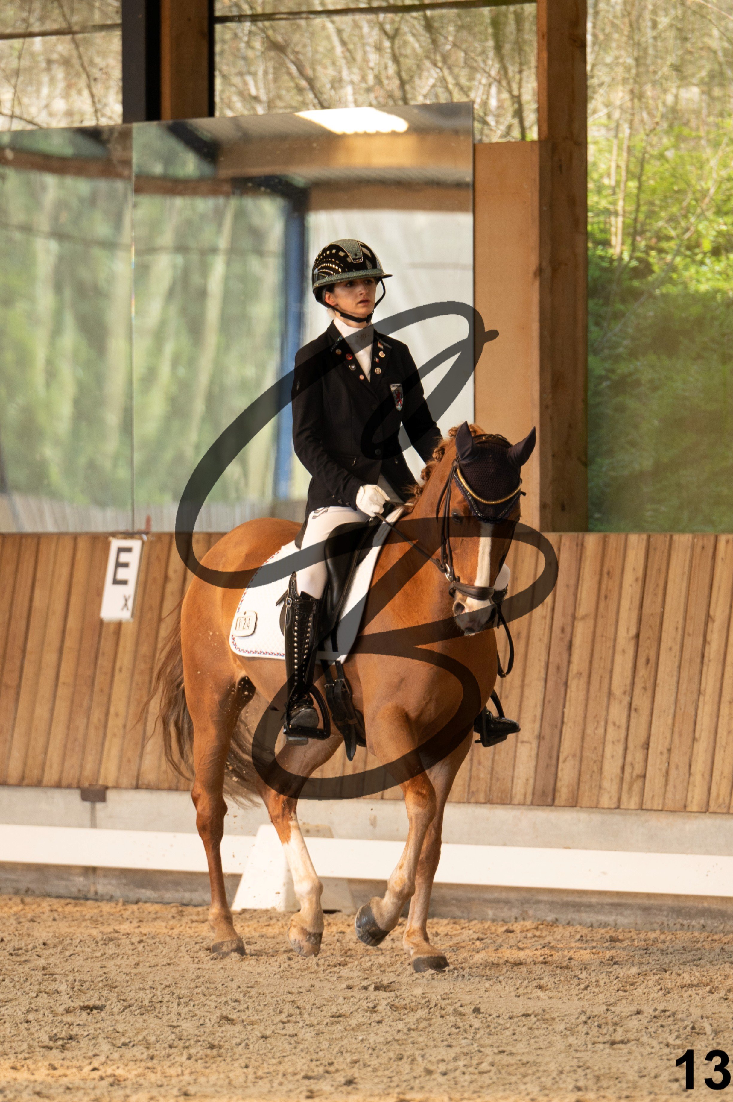 2026.03.22 - Niv3 - pony team test-13.jpg