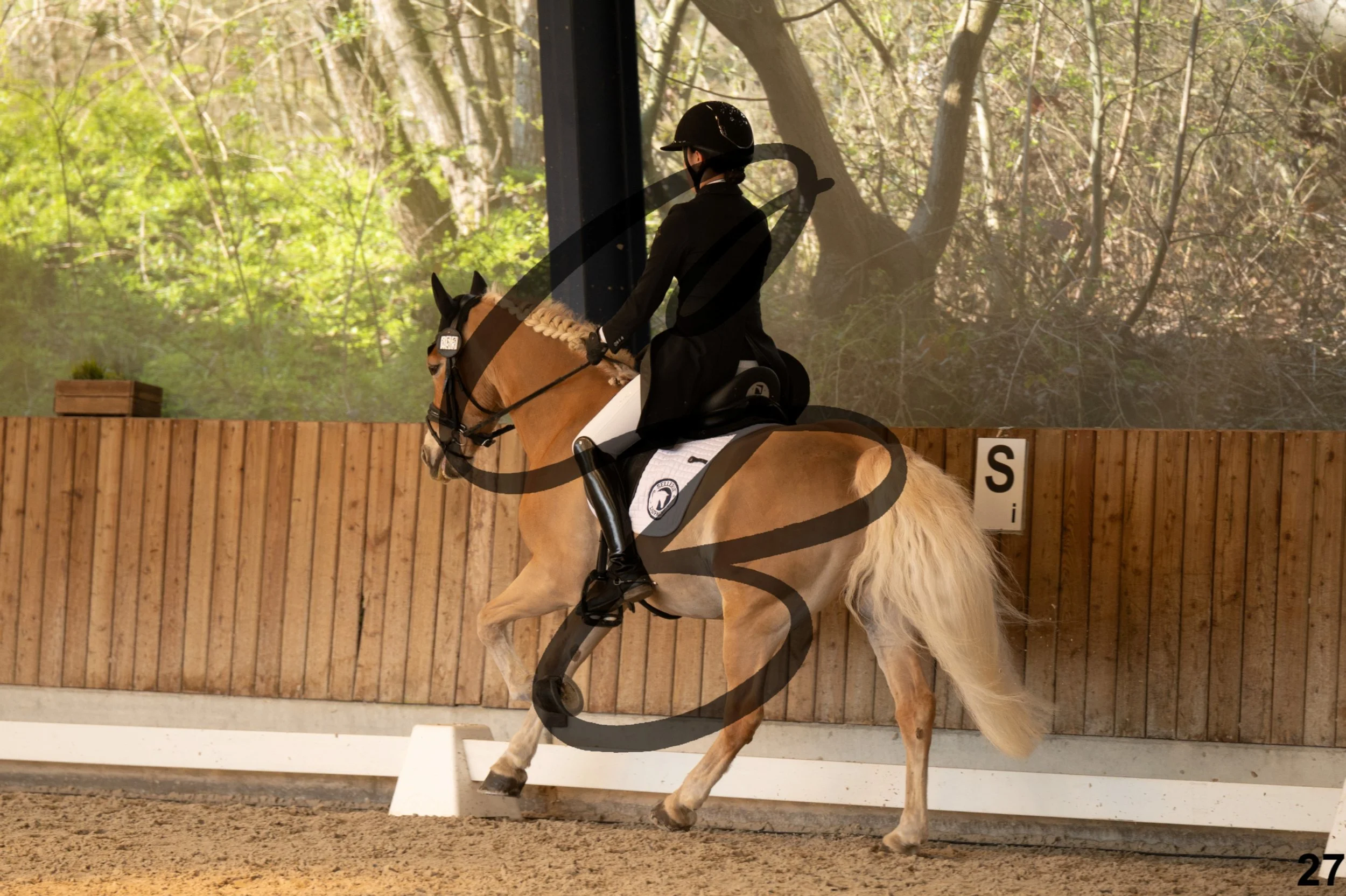 2026.03.22 - Niv4 - junior team test-27.jpg