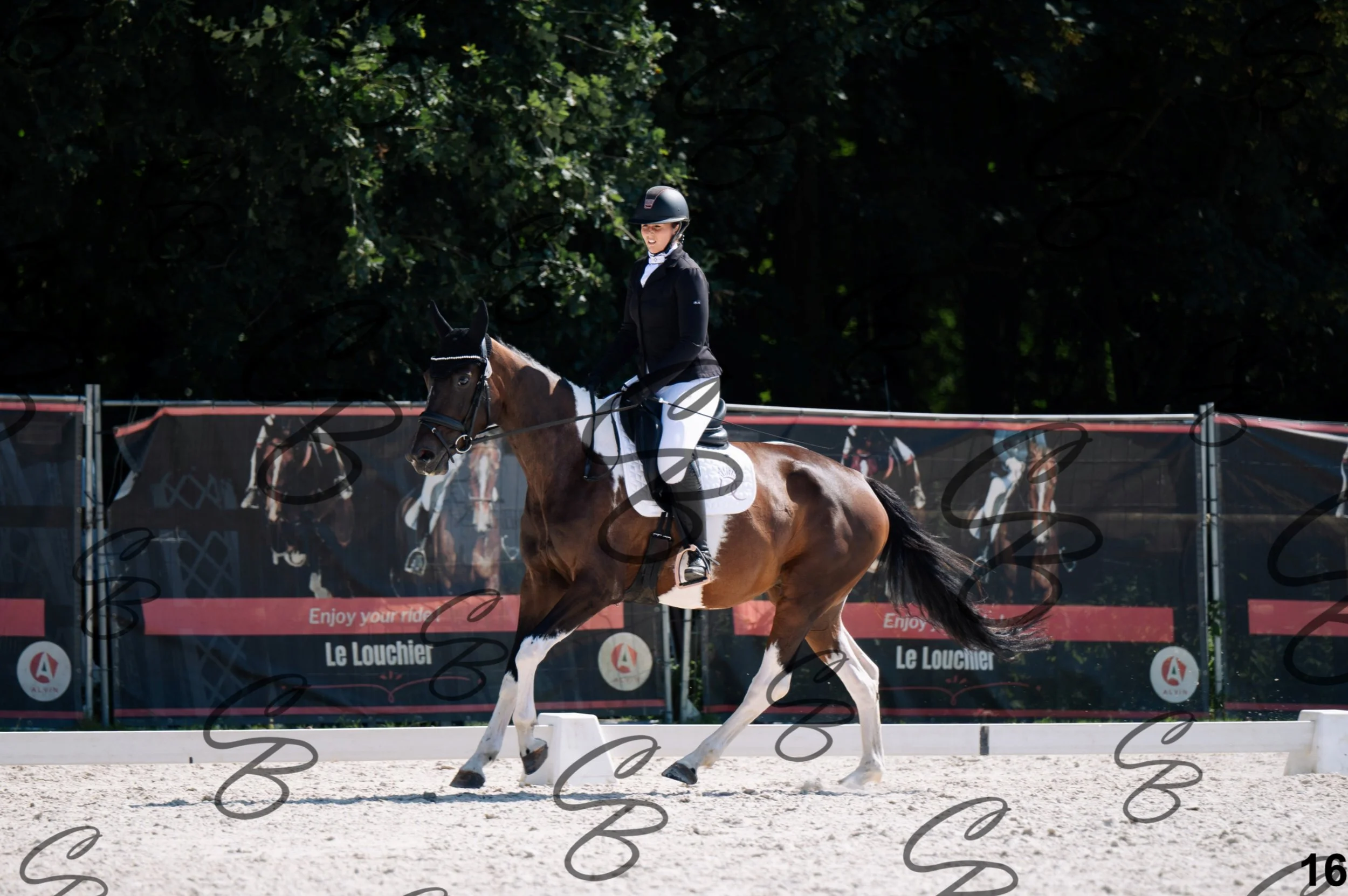 2026.07.12 - Jeunes chevaux - FEI 4YH Final Test-16.jpg