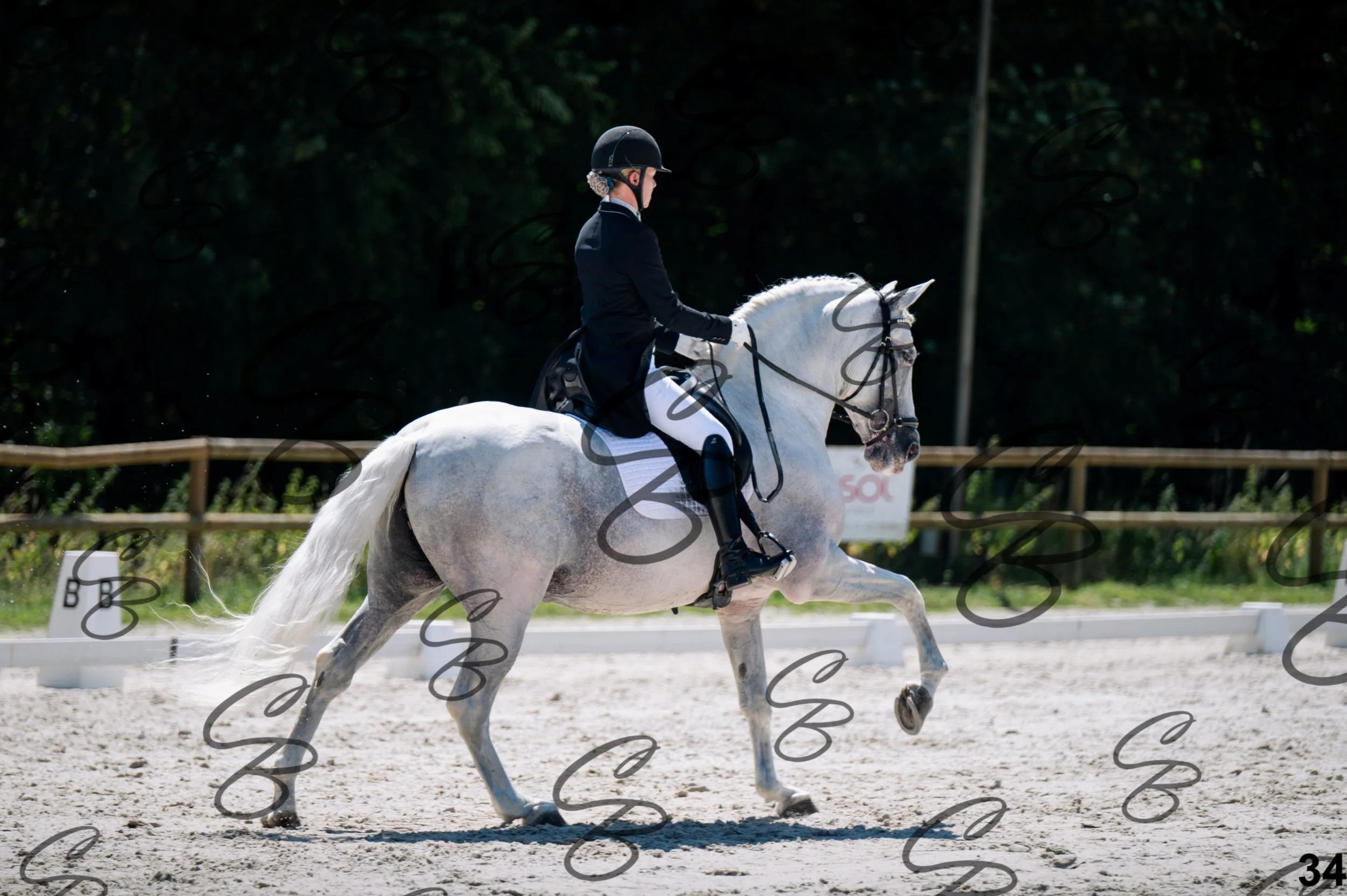 2026.07.11 - 13 Reyale - Niveau 6 - REYALE-35.jpg