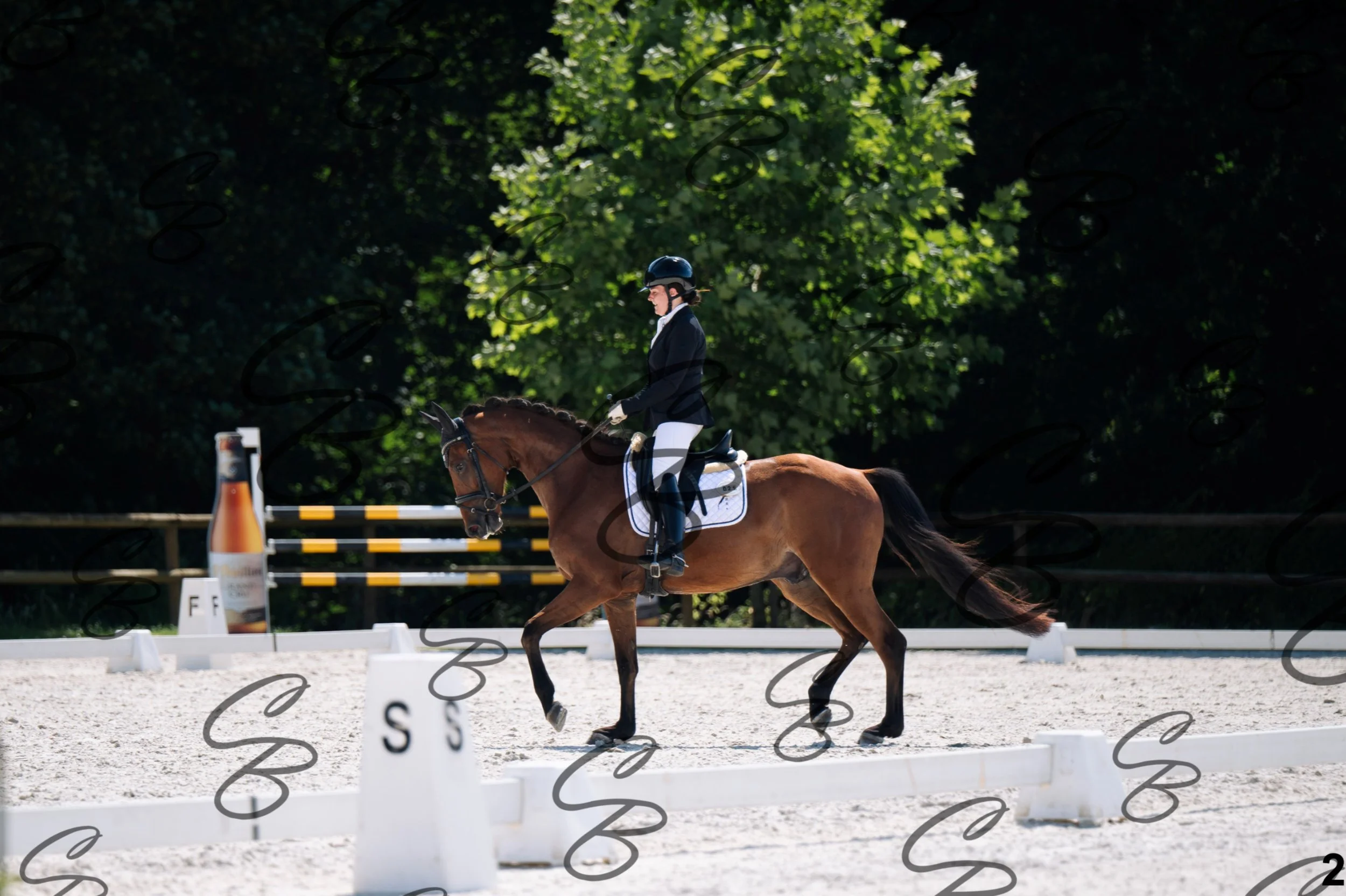 2026.07.12 - Jeunes chevaux - FEI 4YH Final Test-2.jpg