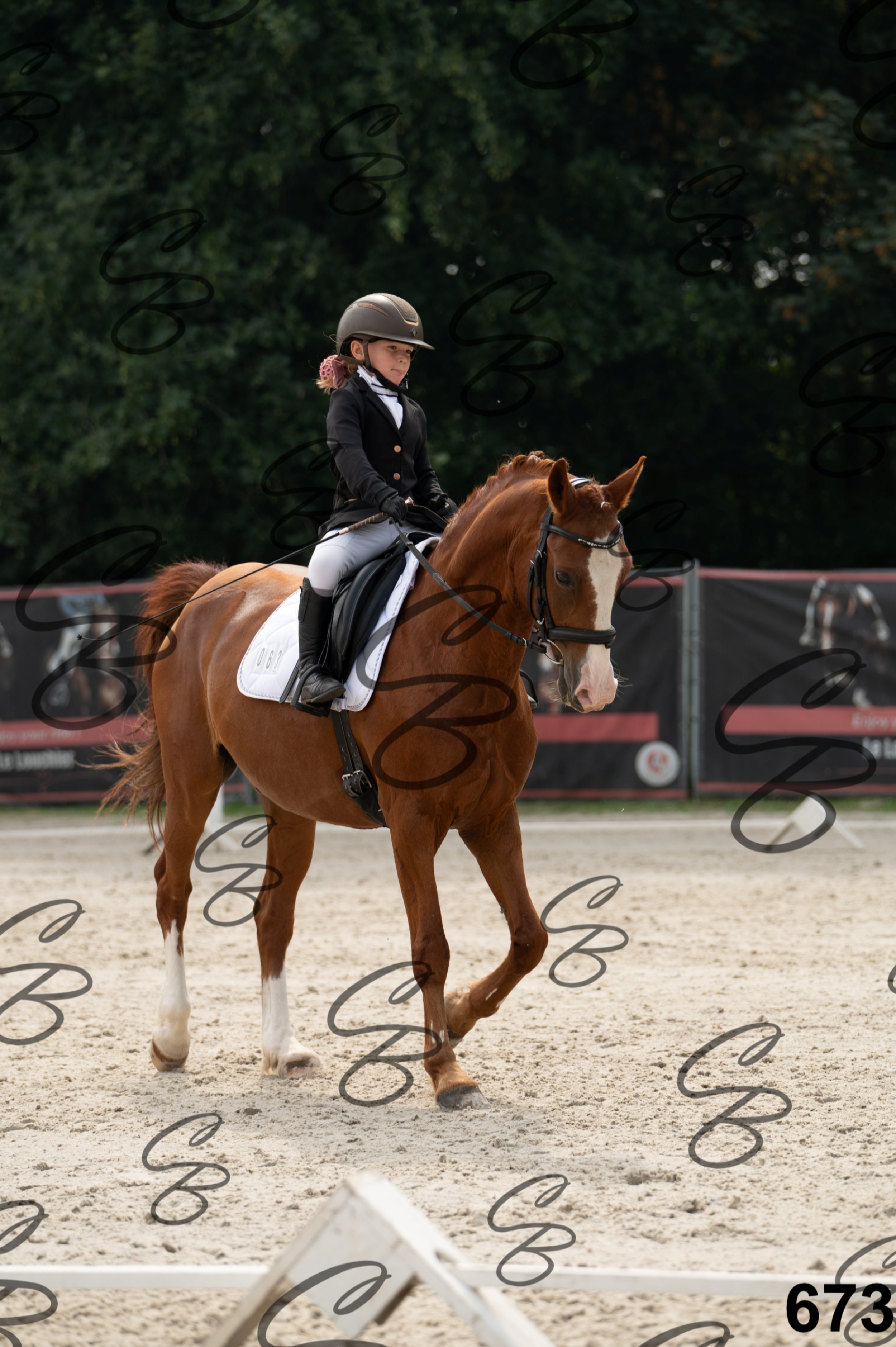 2026.08.15 - Louchier - GHO-773.jpg