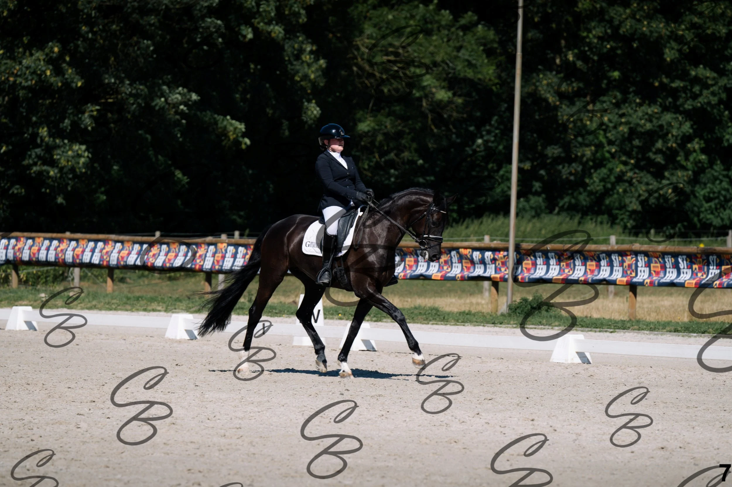 2026.07.12 - 21 Junior - Niveau 3 - FEI Junior Team Test-7.jpg