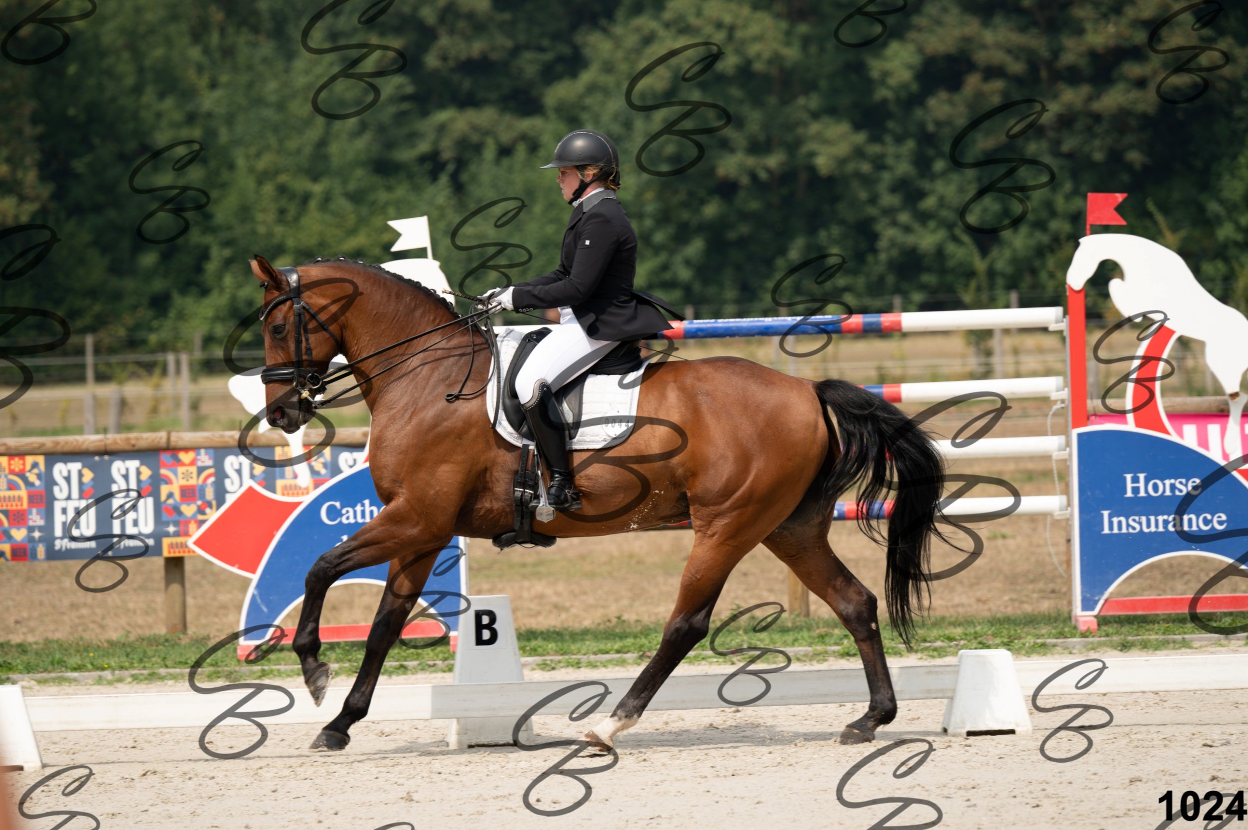 2026.08.15 - Louchier - GHO-1175.jpg