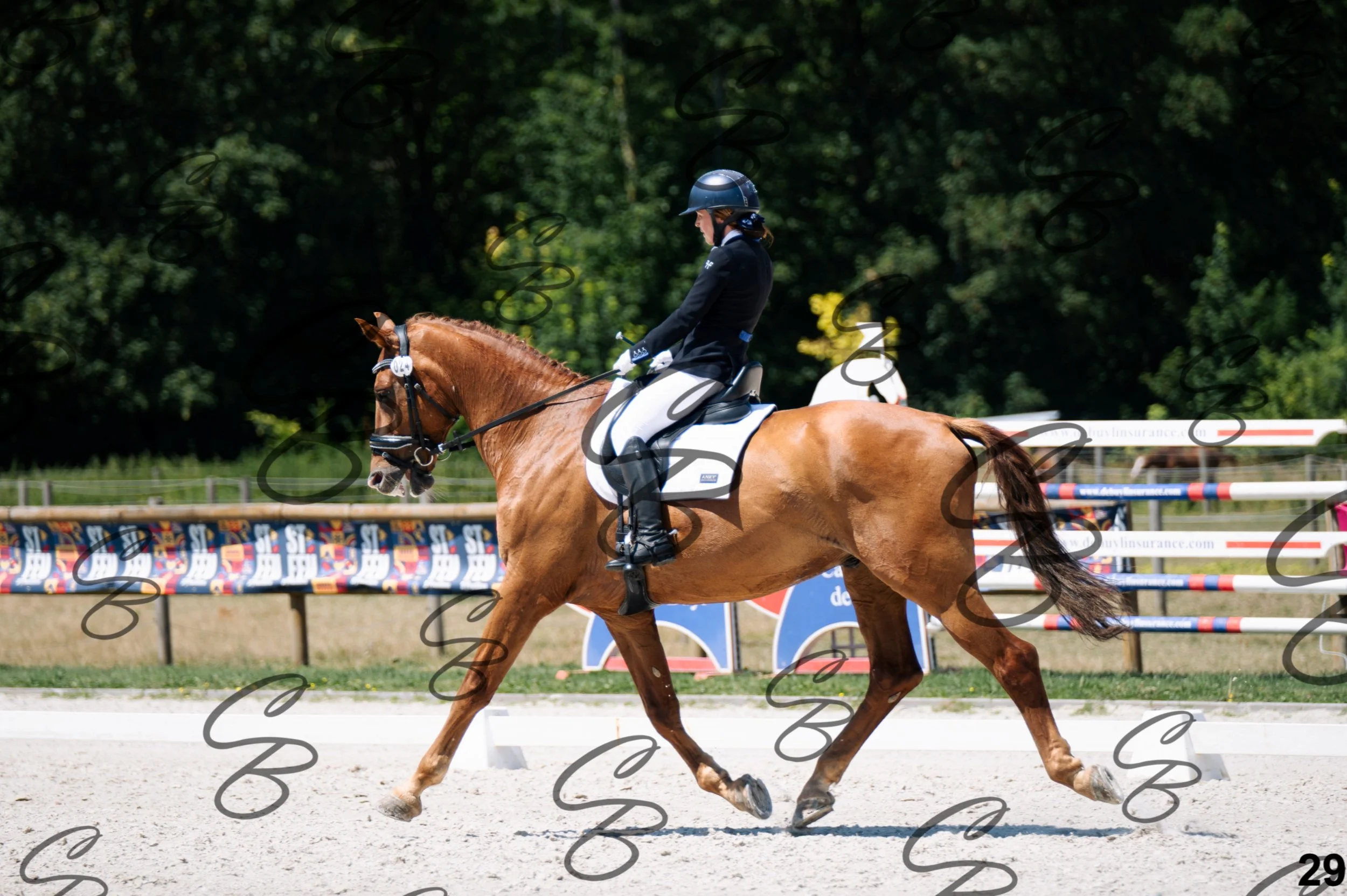 2026.07.12 - Niveau 5 - S3-29.jpg