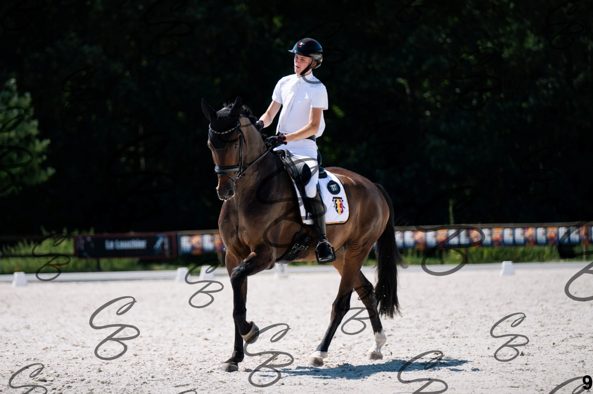 2026.07.12 - Jeunes chevaux - FEI 6YH Preliminary Test-9.jpg
