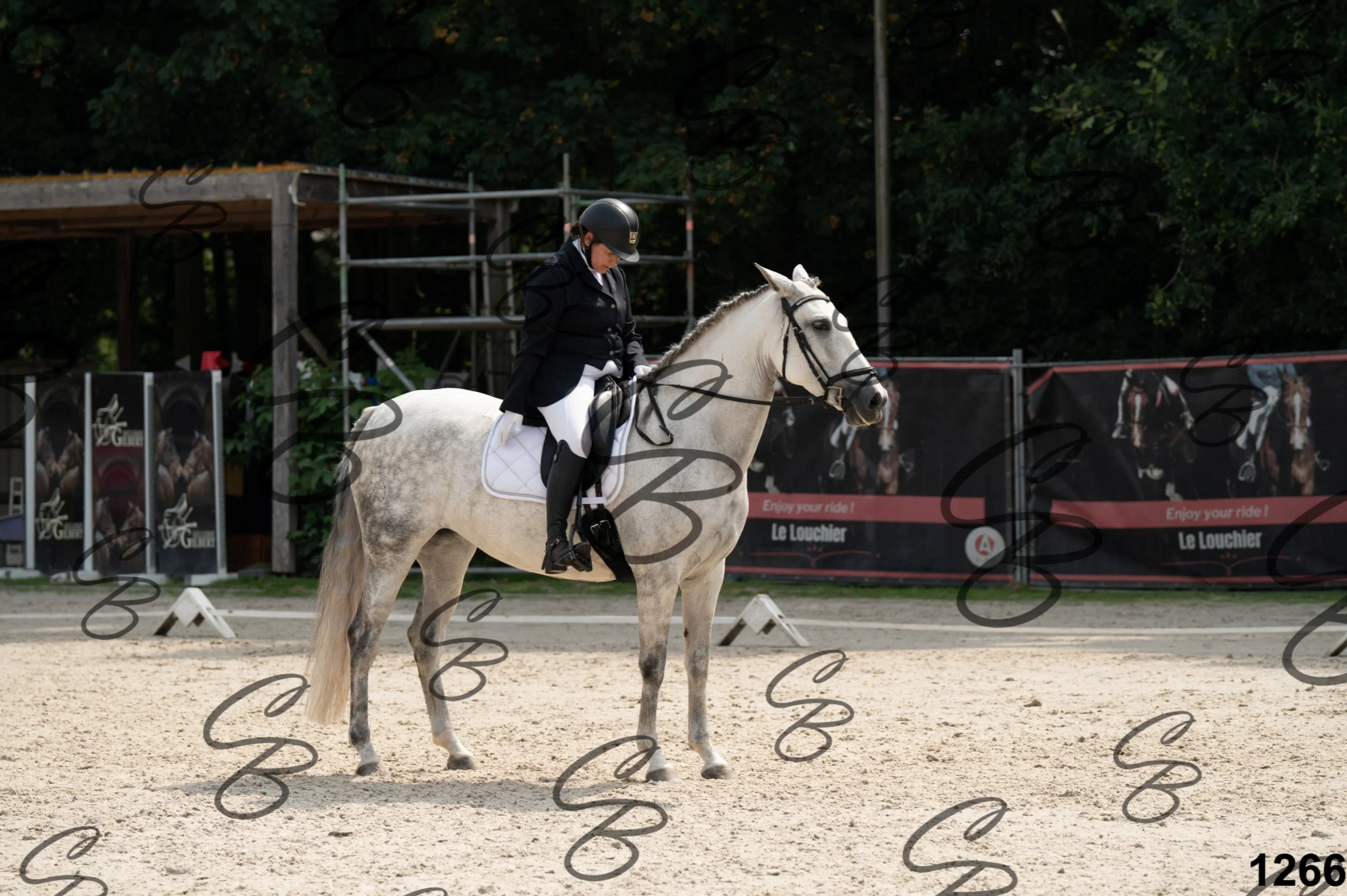 2026.08.15 - Louchier - GHO-1122.jpg