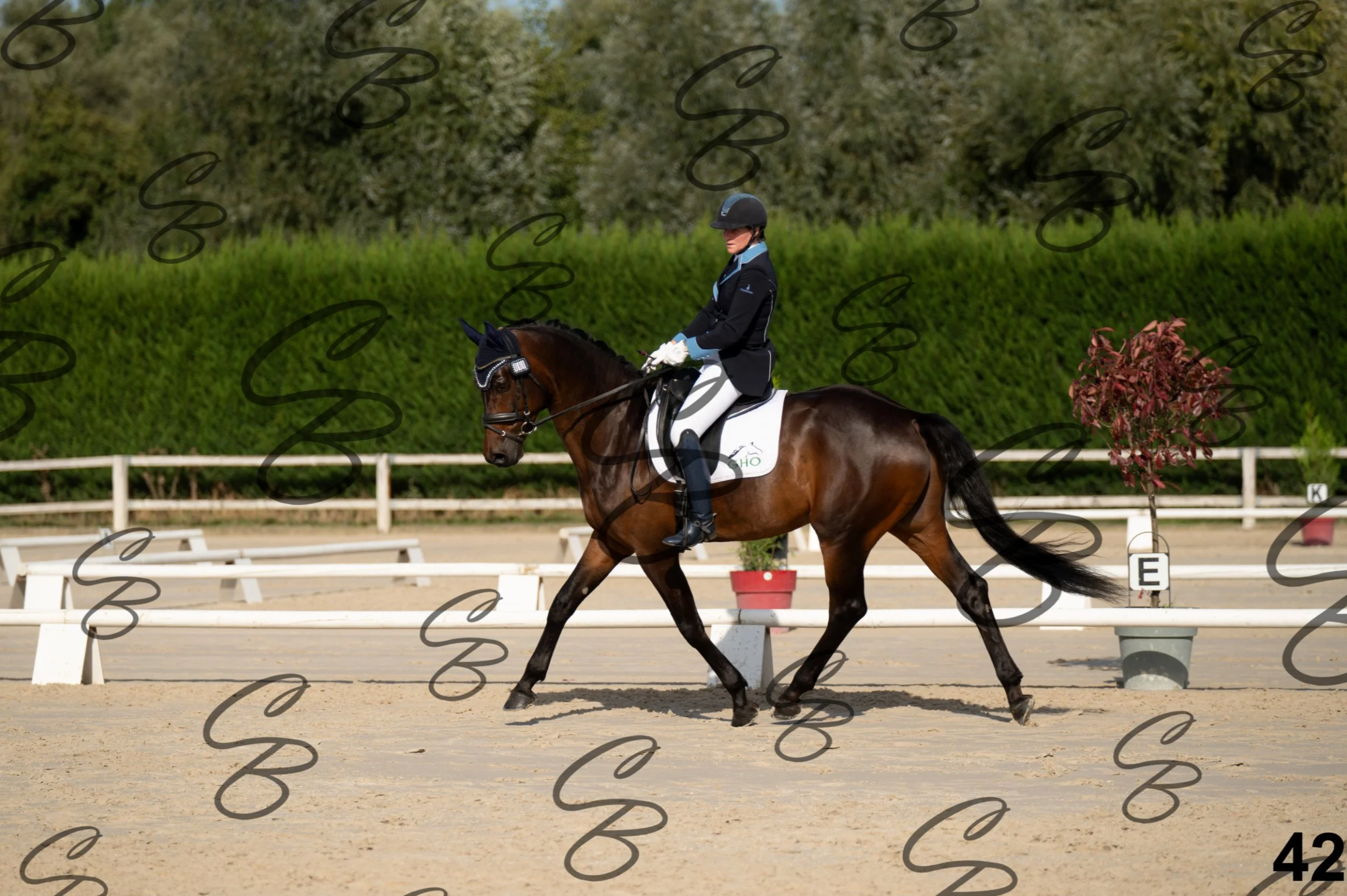 2026.09.20 - Angélique-42.jpg