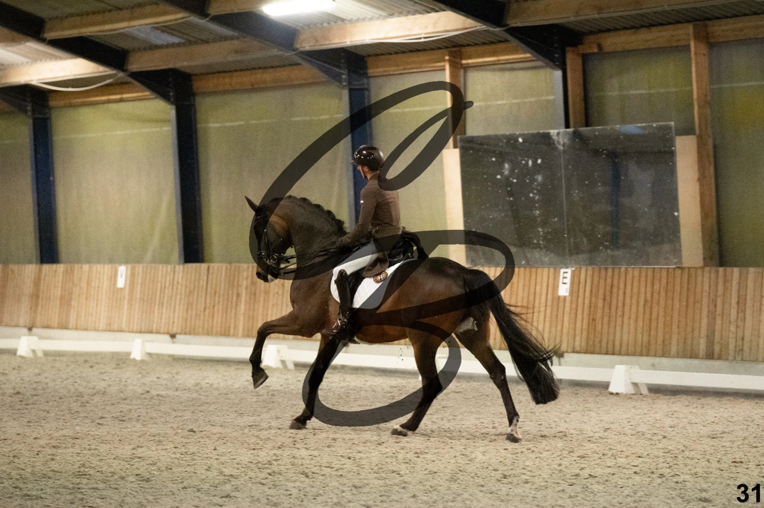 2026.03.22 - niv6 - Inter 1-31.jpg